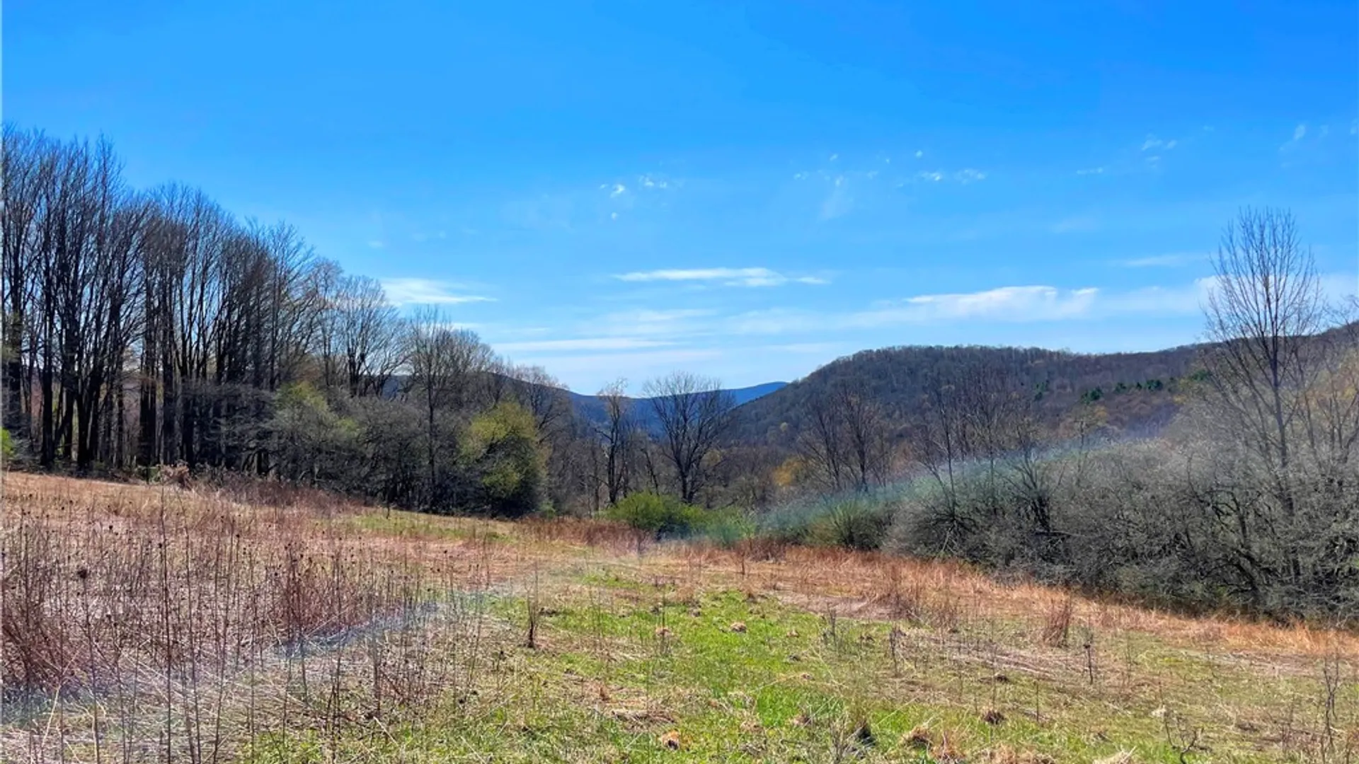 Property at Lot #12.12 Kiff Brook Road, Kortright, NY 13739 2