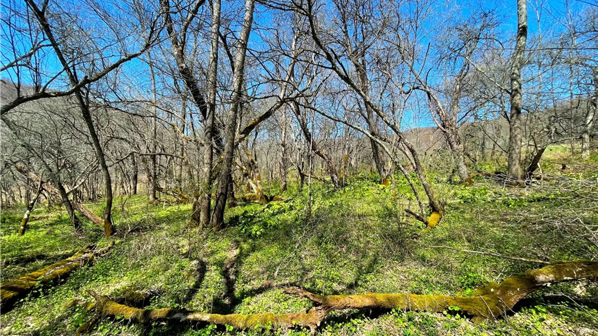 Property at Lot #12.12 Kiff Brook Road, Kortright, NY 13739 23