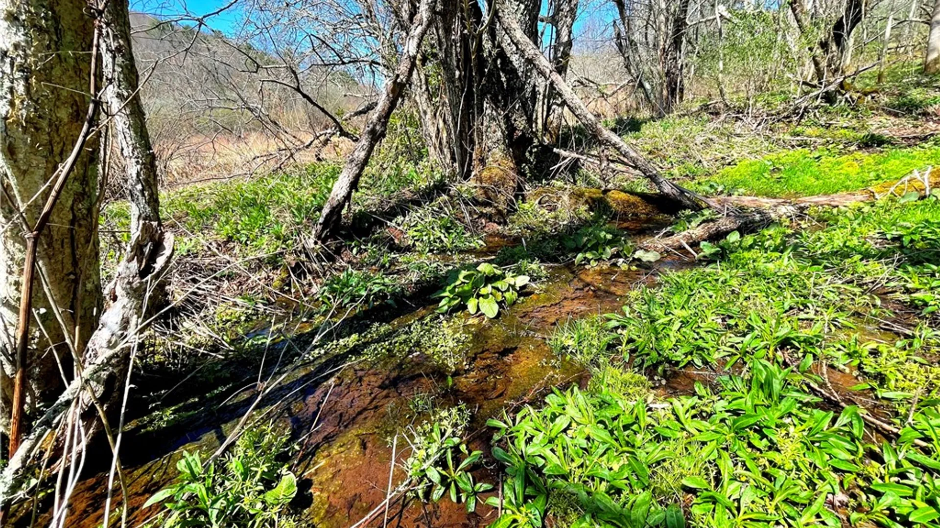 Property at Lot #12.12 Kiff Brook Road, Kortright, NY 13739 26