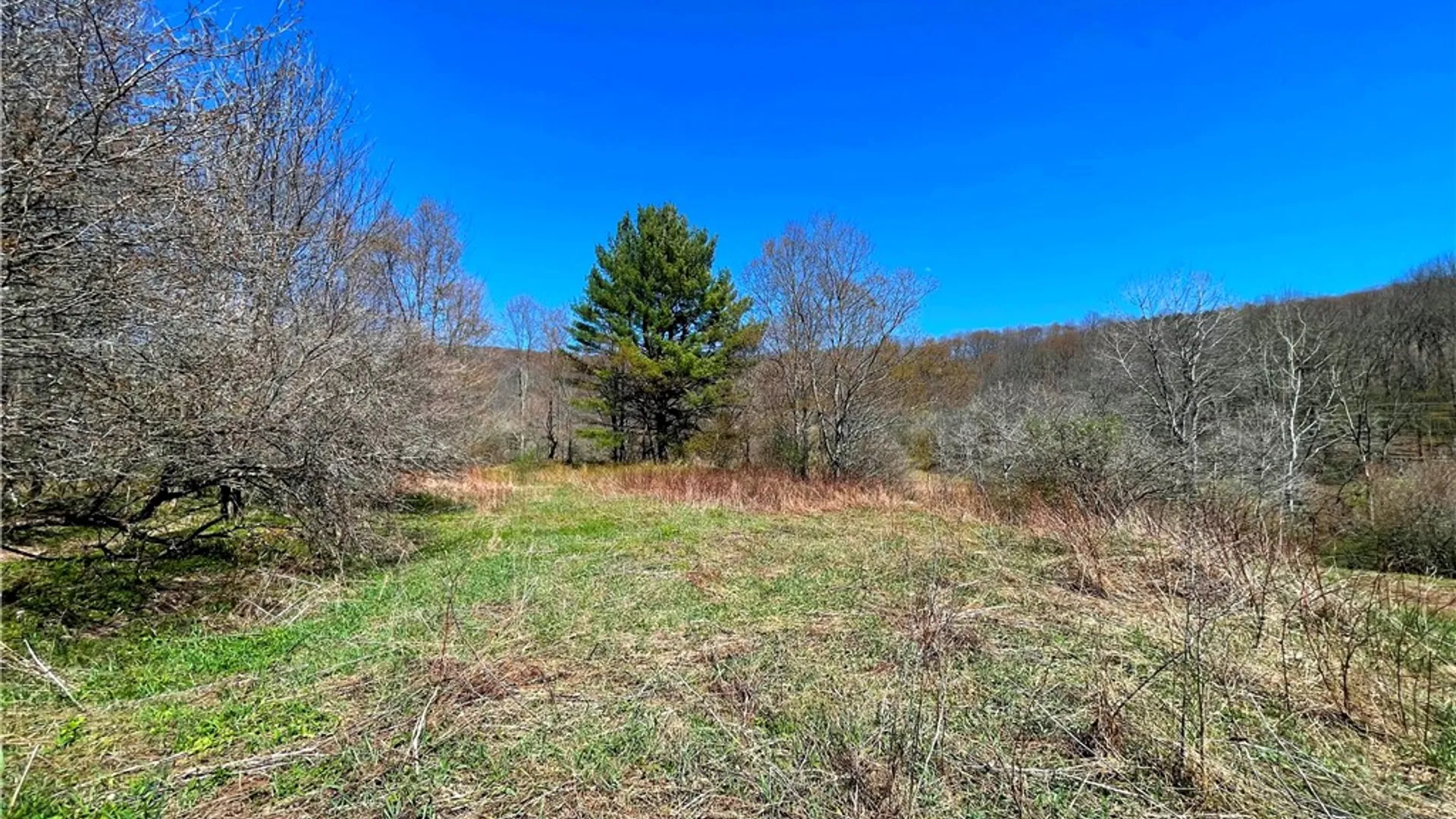 Property at Lot #12.12 Kiff Brook Road, Kortright, NY 13739 28