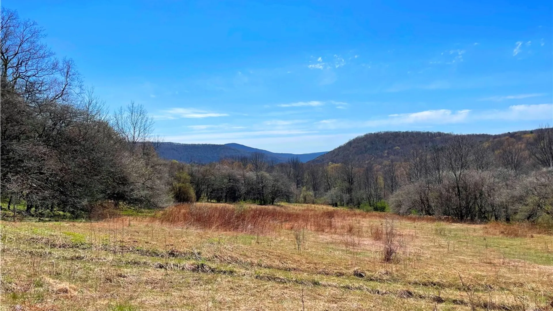 Property at Lot #12.12 Kiff Brook Road, Kortright, NY 13739 3