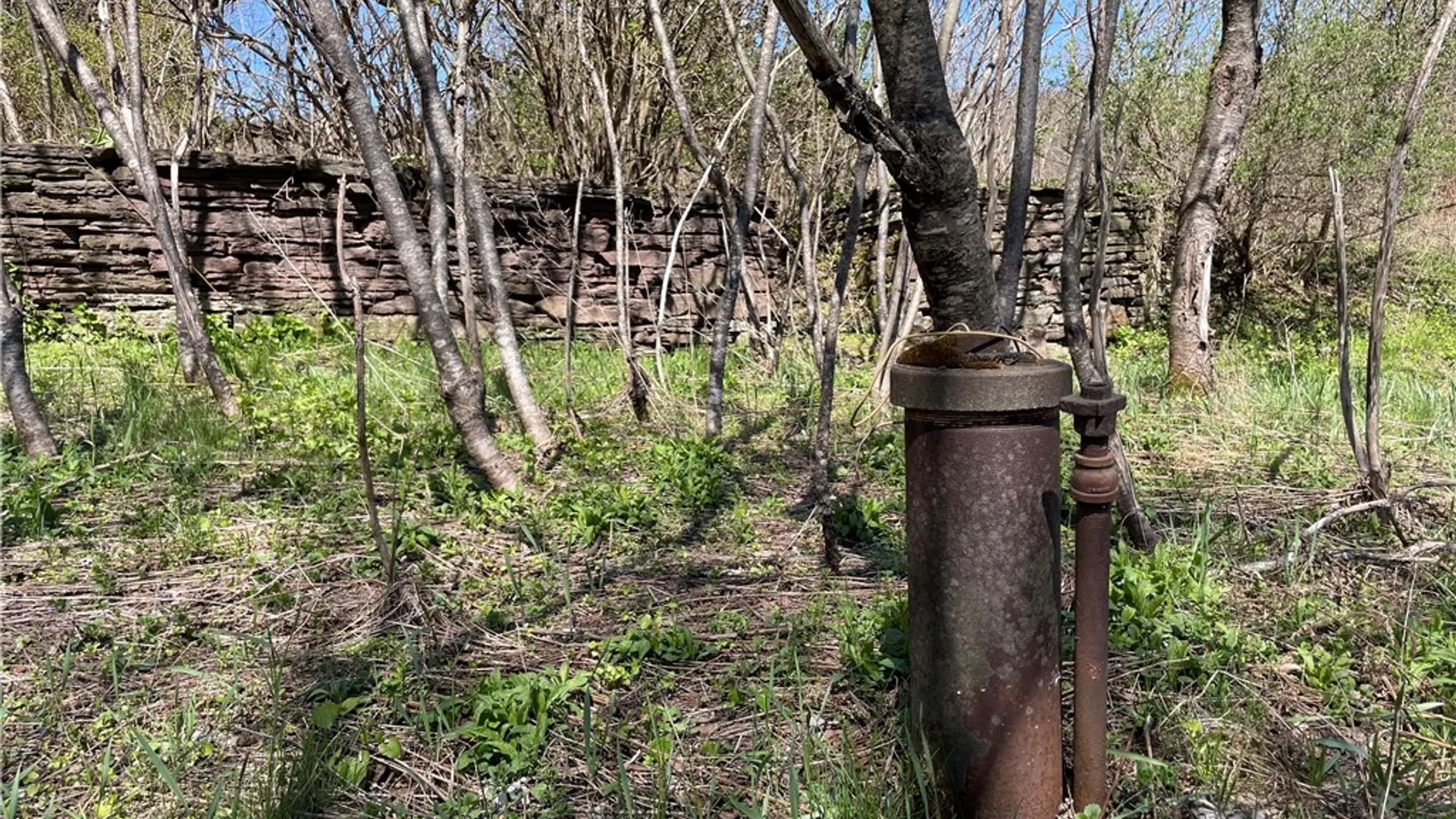 Property at Lot #12.12 Kiff Brook Road, Kortright, NY 13739 30