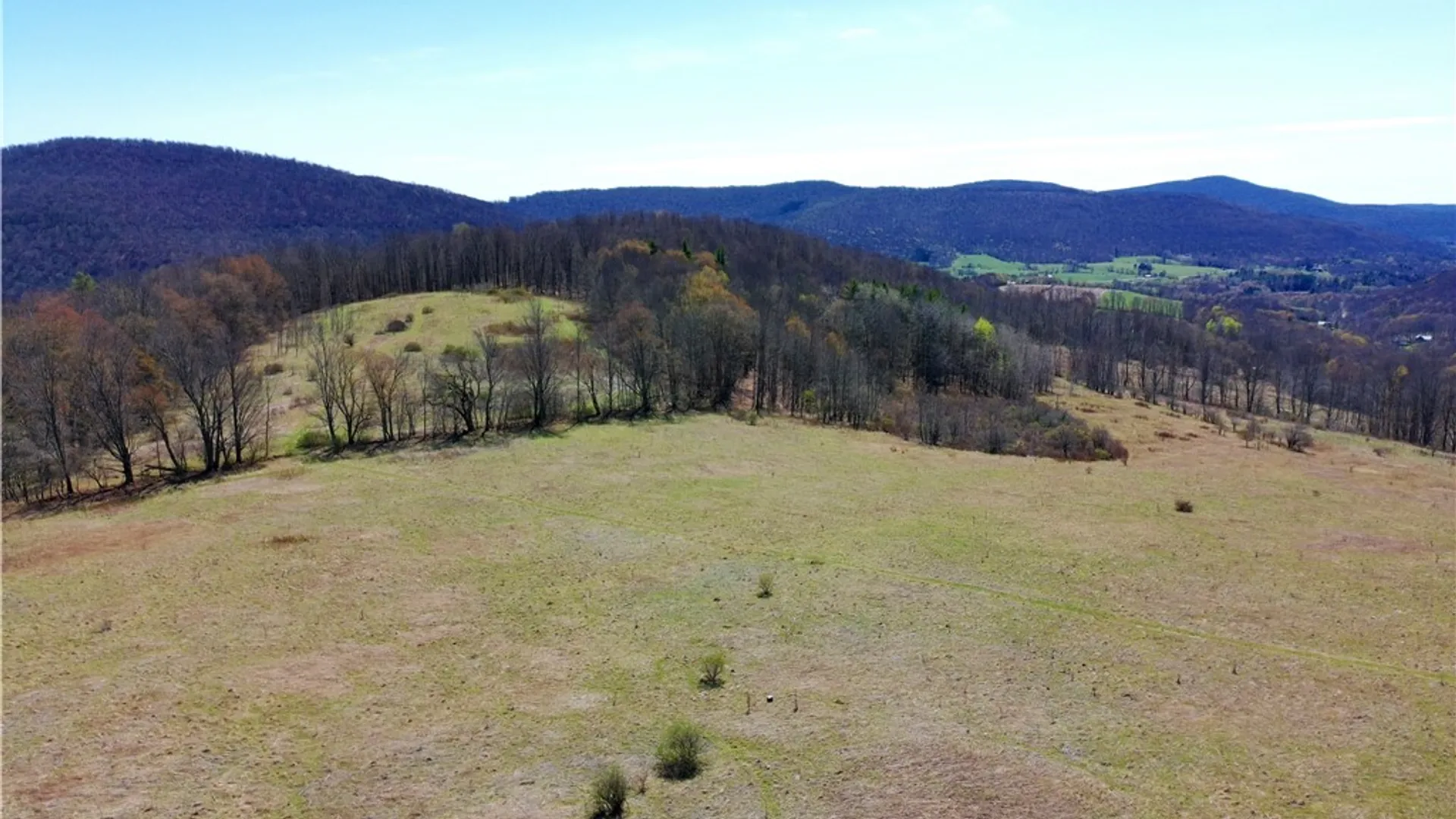 Property at Lot #12.12 Kiff Brook Road, Kortright, NY 13739 32