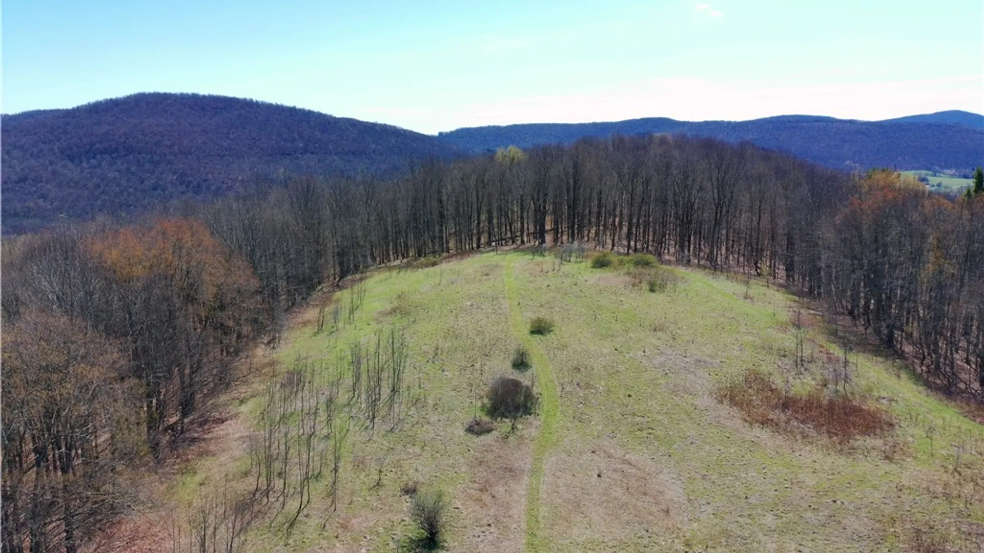 Property at Lot #12.12 Kiff Brook Road, Kortright, NY 13739 33