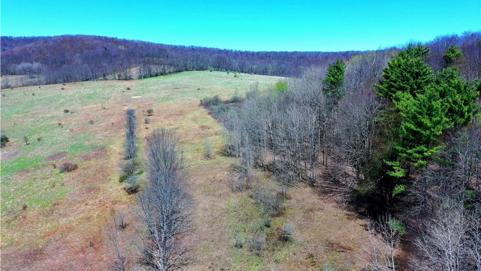 Property at Lot #12.12 Kiff Brook Road, Kortright, NY 13739 35