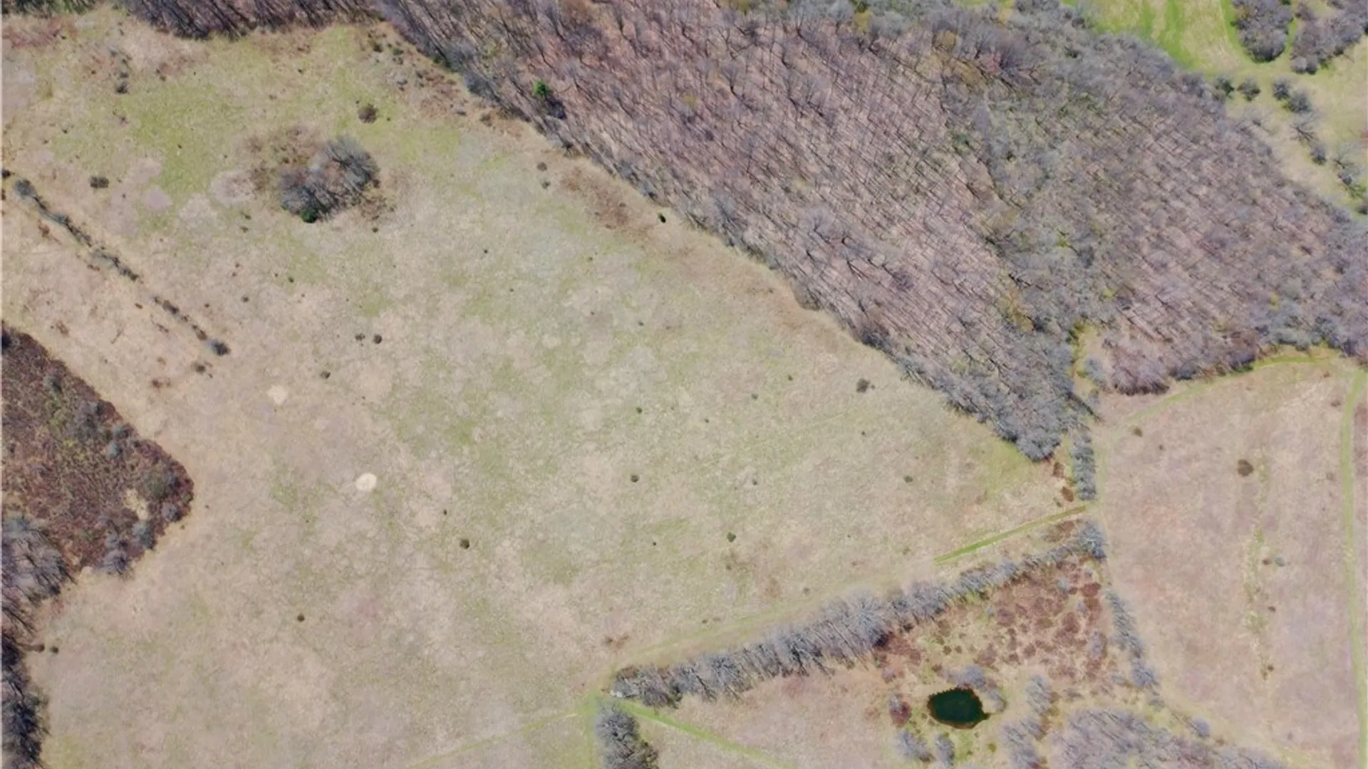 Property at Lot #12.12 Kiff Brook Road, Kortright, NY 13739 36