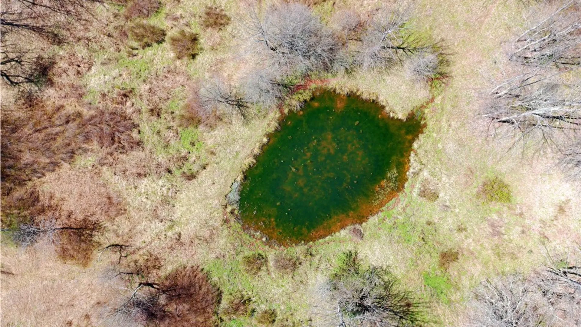 Property at Lot #12.12 Kiff Brook Road, Kortright, NY 13739 37