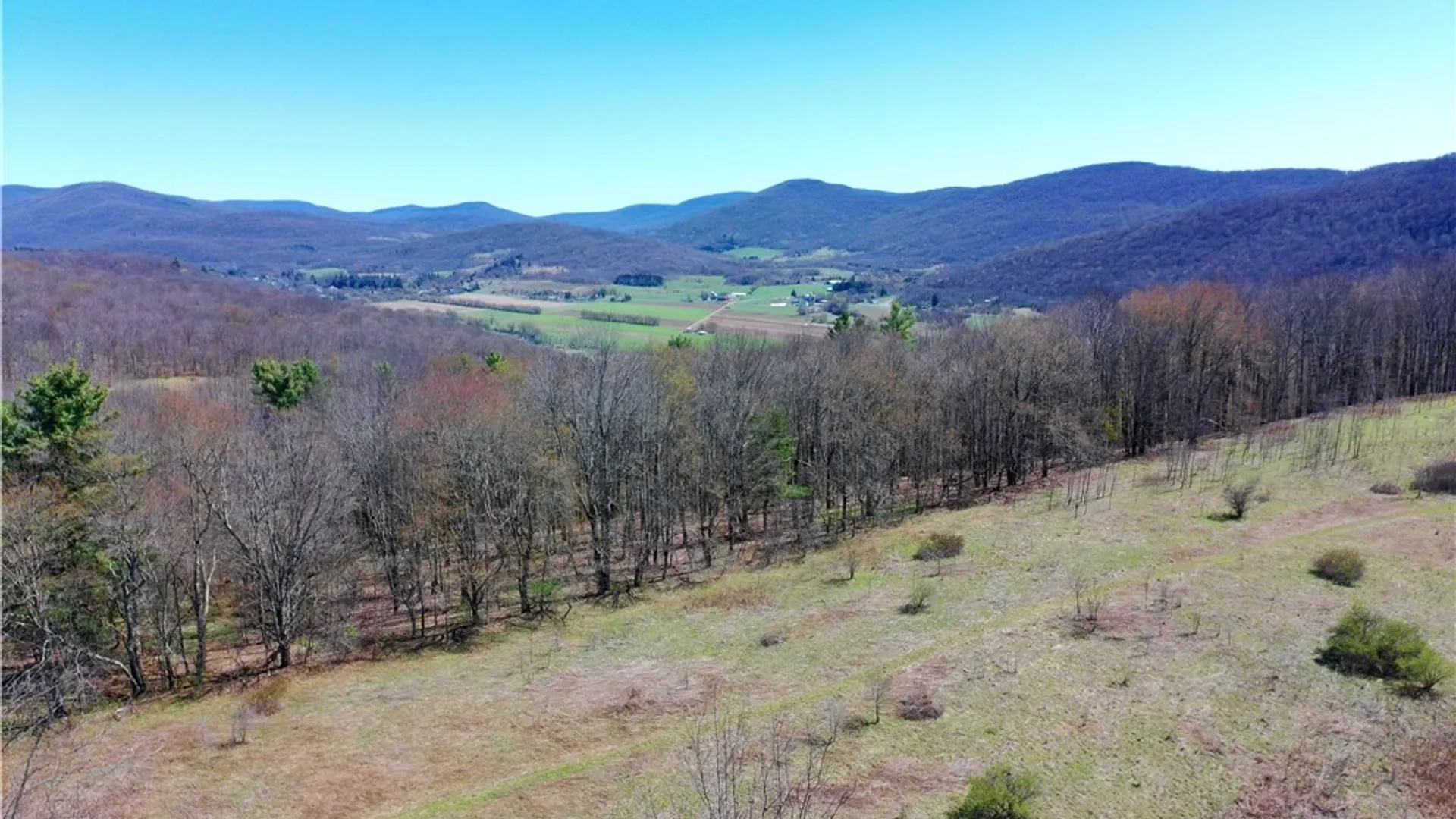 Property at Lot #12.12 Kiff Brook Road, Kortright, NY 13739 4