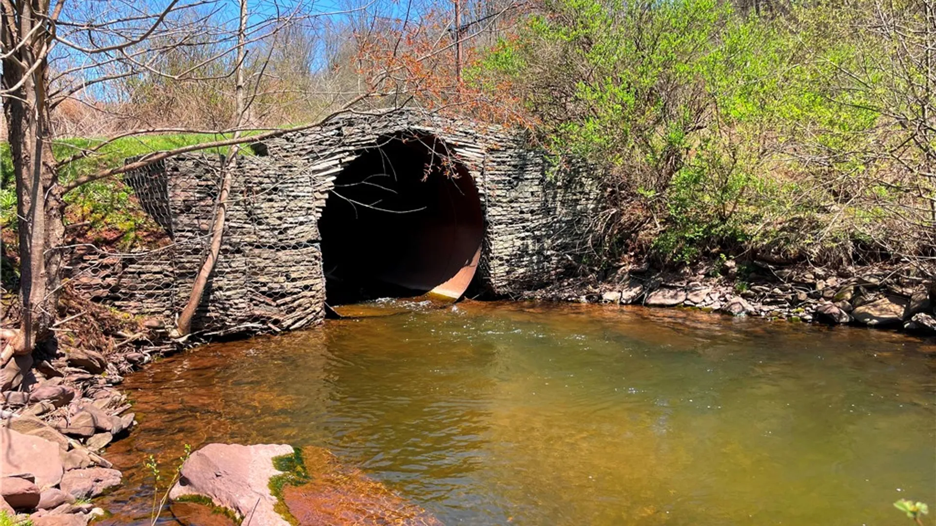 Property at Lot #12.12 Kiff Brook Road, Kortright, NY 13739 5