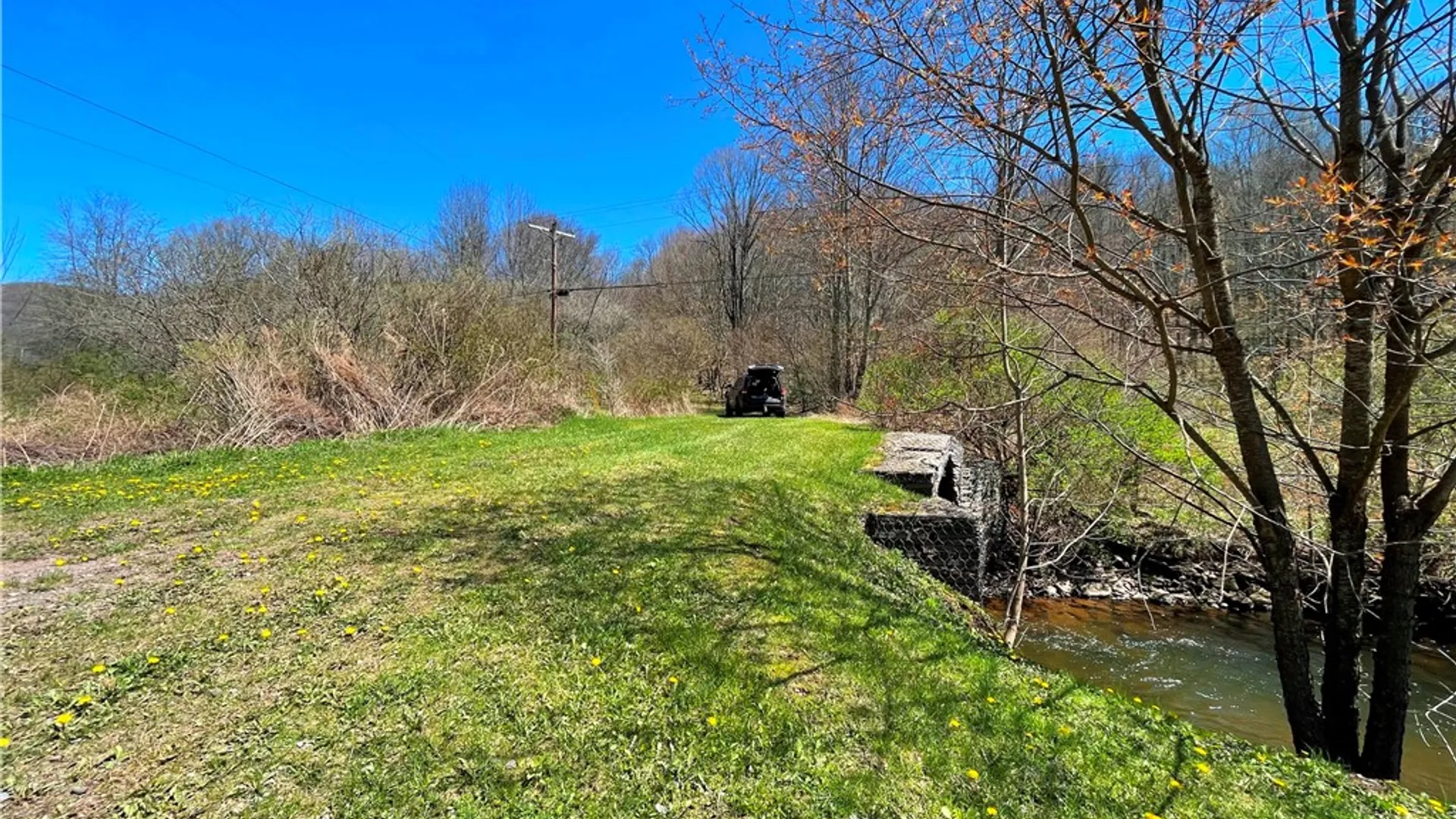 Property at Lot #12.12 Kiff Brook Road, Kortright, NY 13739 6