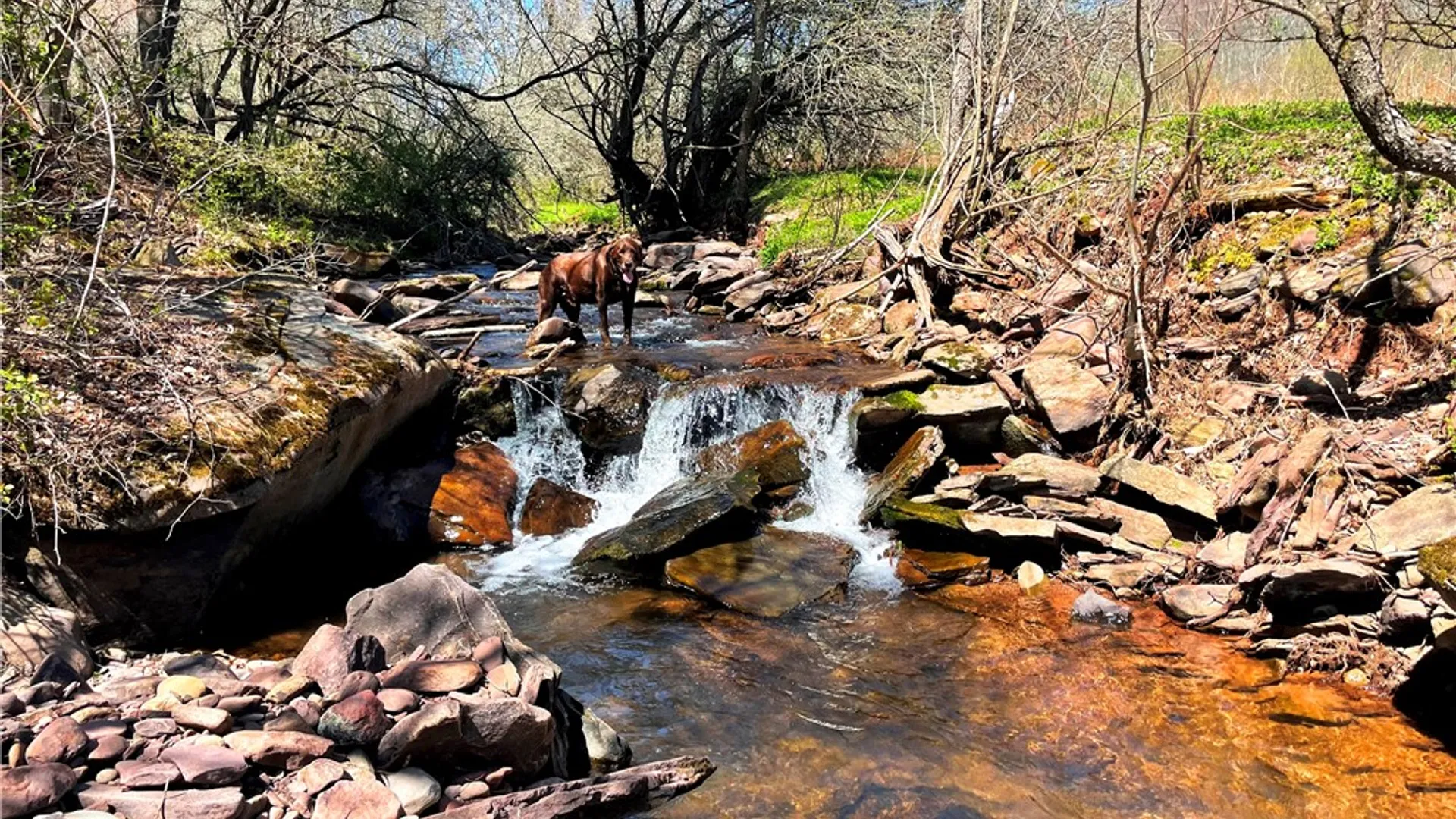 Property at Lot #12.12 Kiff Brook Road, Kortright, NY 13739 7