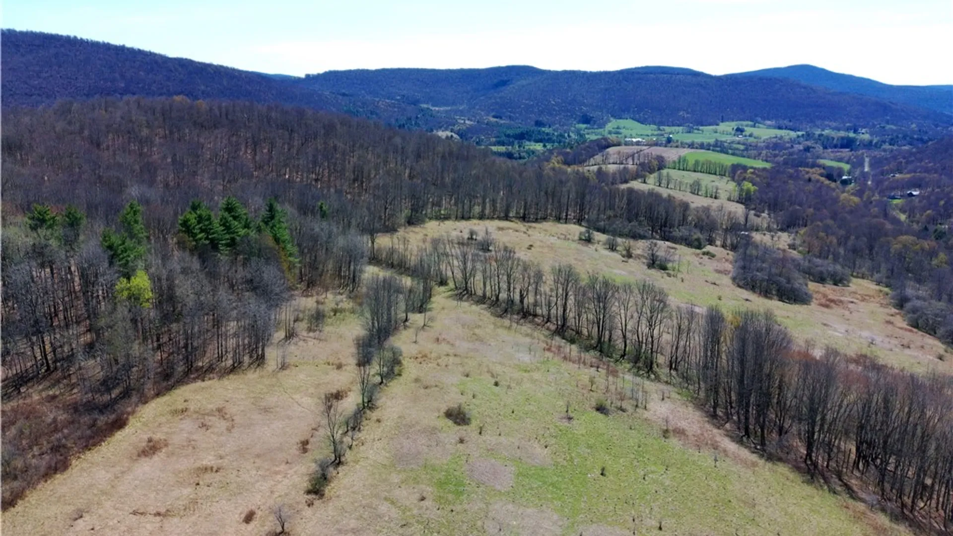 Property at Lot #12.12 Kiff Brook Road, Kortright, NY 13739 8