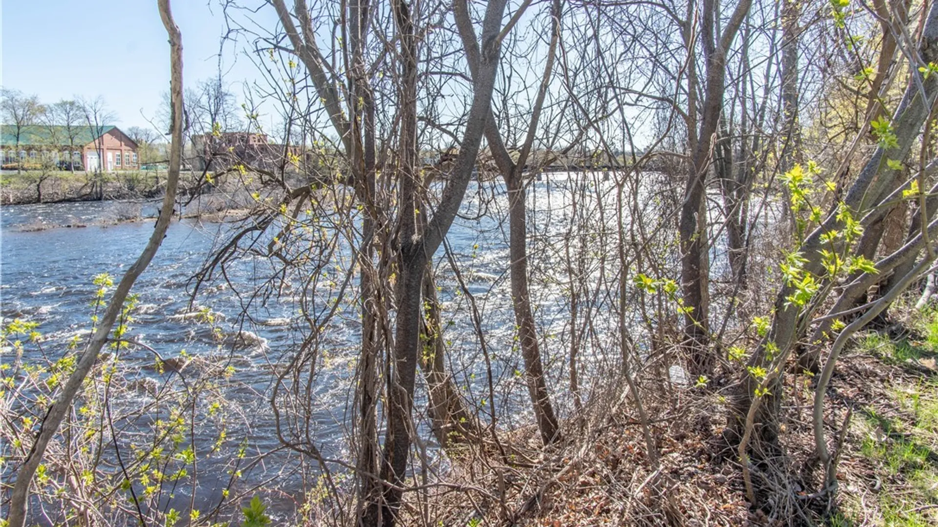 Property at 712 Lawrence Street, Watertown City, NY 13601 10