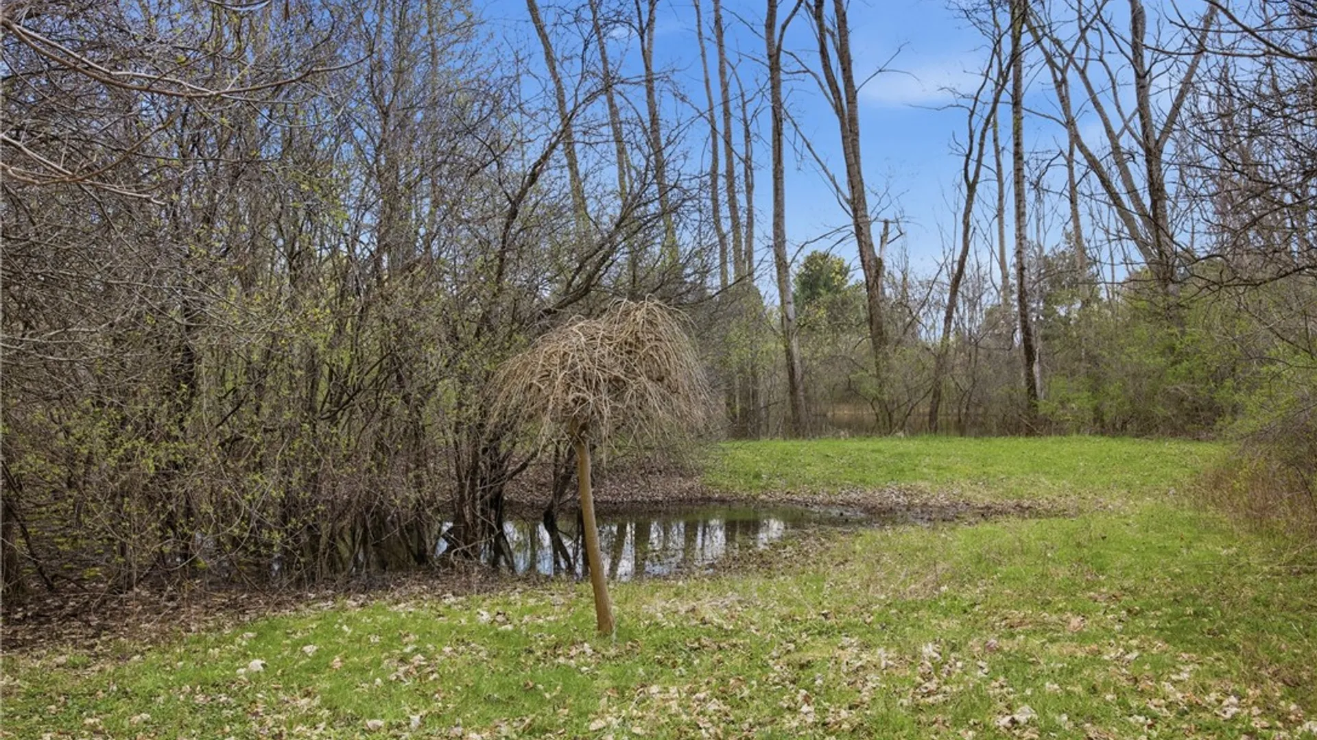 Property at 2555B Willett Road Extension, Jerusalem, NY 14478 8