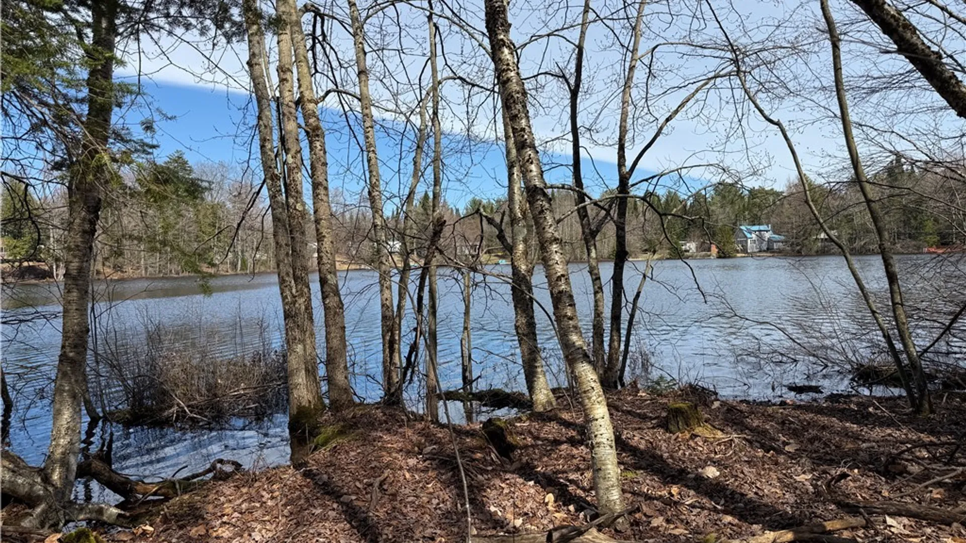 Property at Lot 21B Deep Lake Rd., Ohio, NY 13338 10