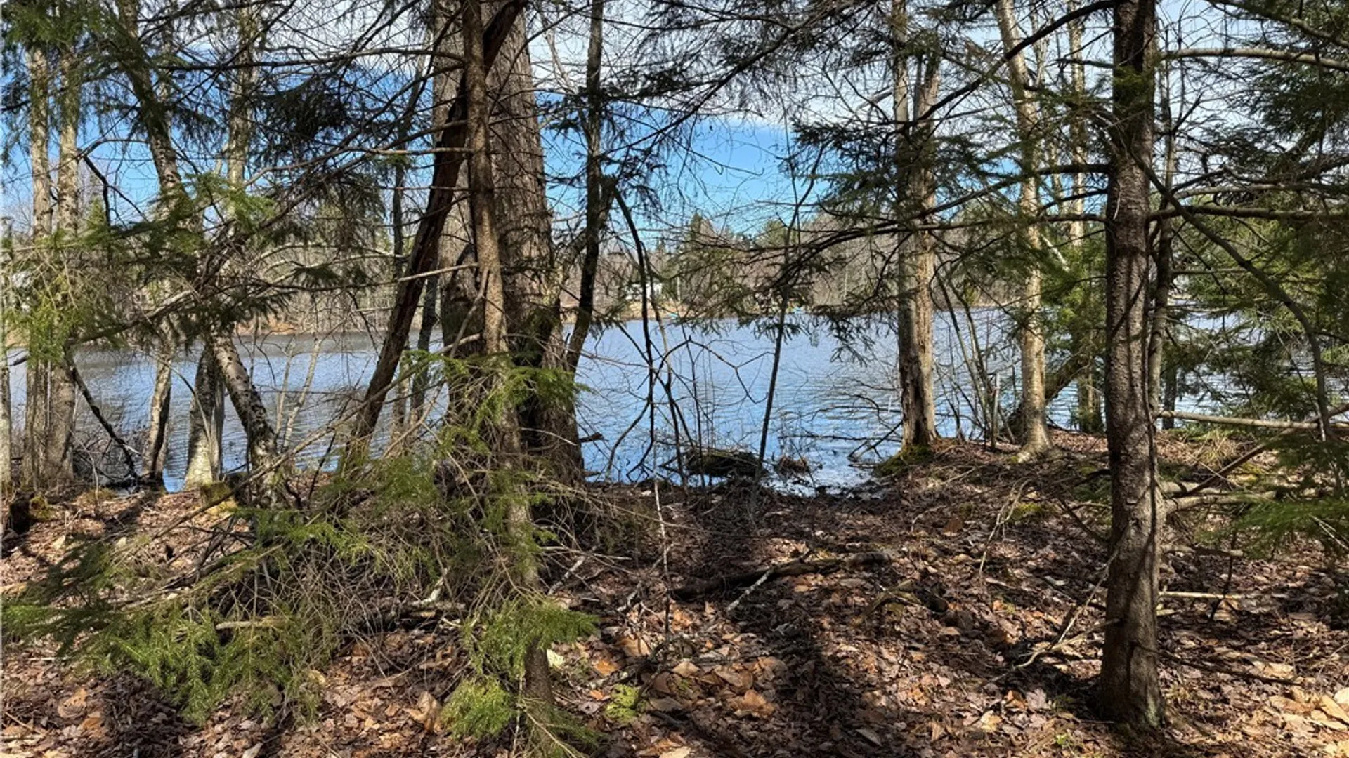 Property at Lot 21B Deep Lake Rd., Ohio, NY 13338 11