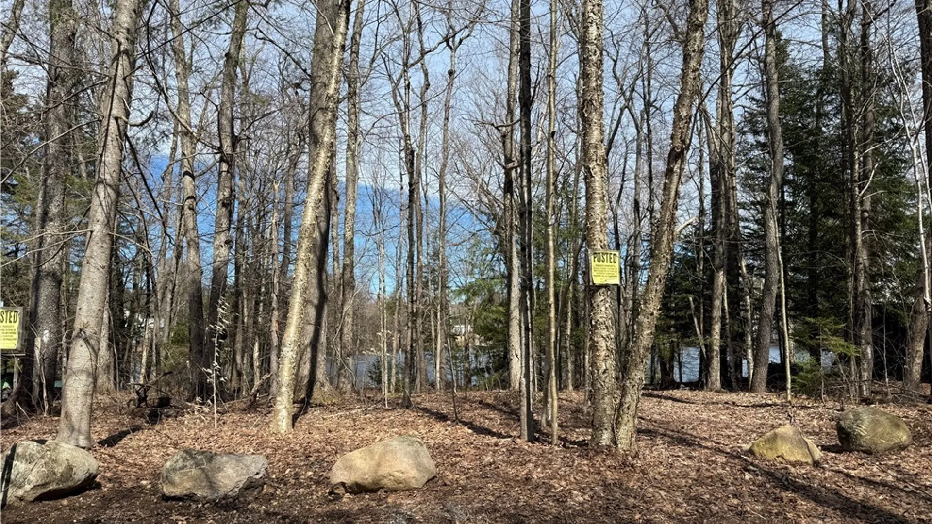 Property at Lot 21B Deep Lake Rd., Ohio, NY 13338 12