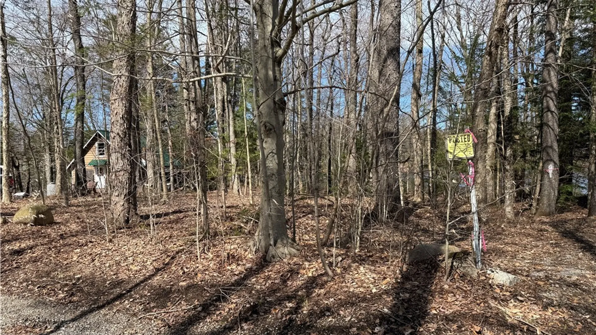 Property at Lot 21B Deep Lake Rd., Ohio, NY 13338 13