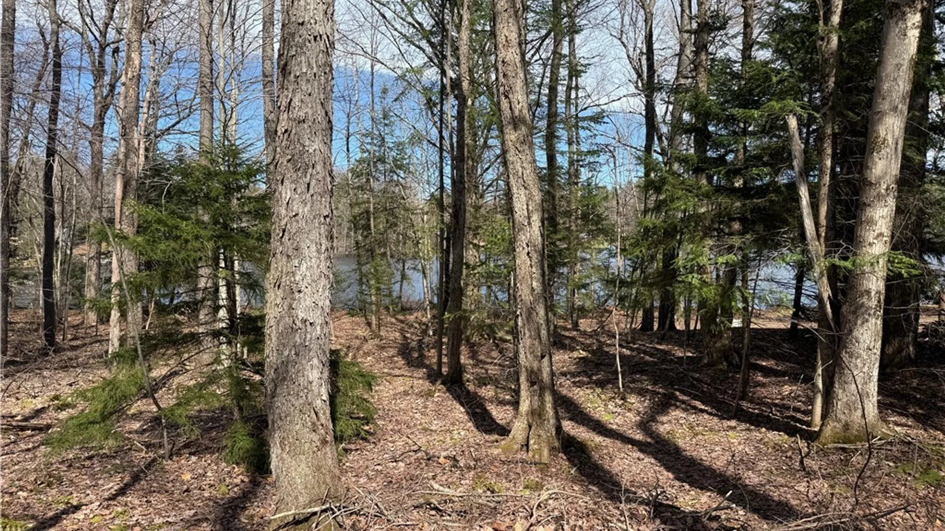 Property at Lot 21B Deep Lake Rd., Ohio, NY 13338 14