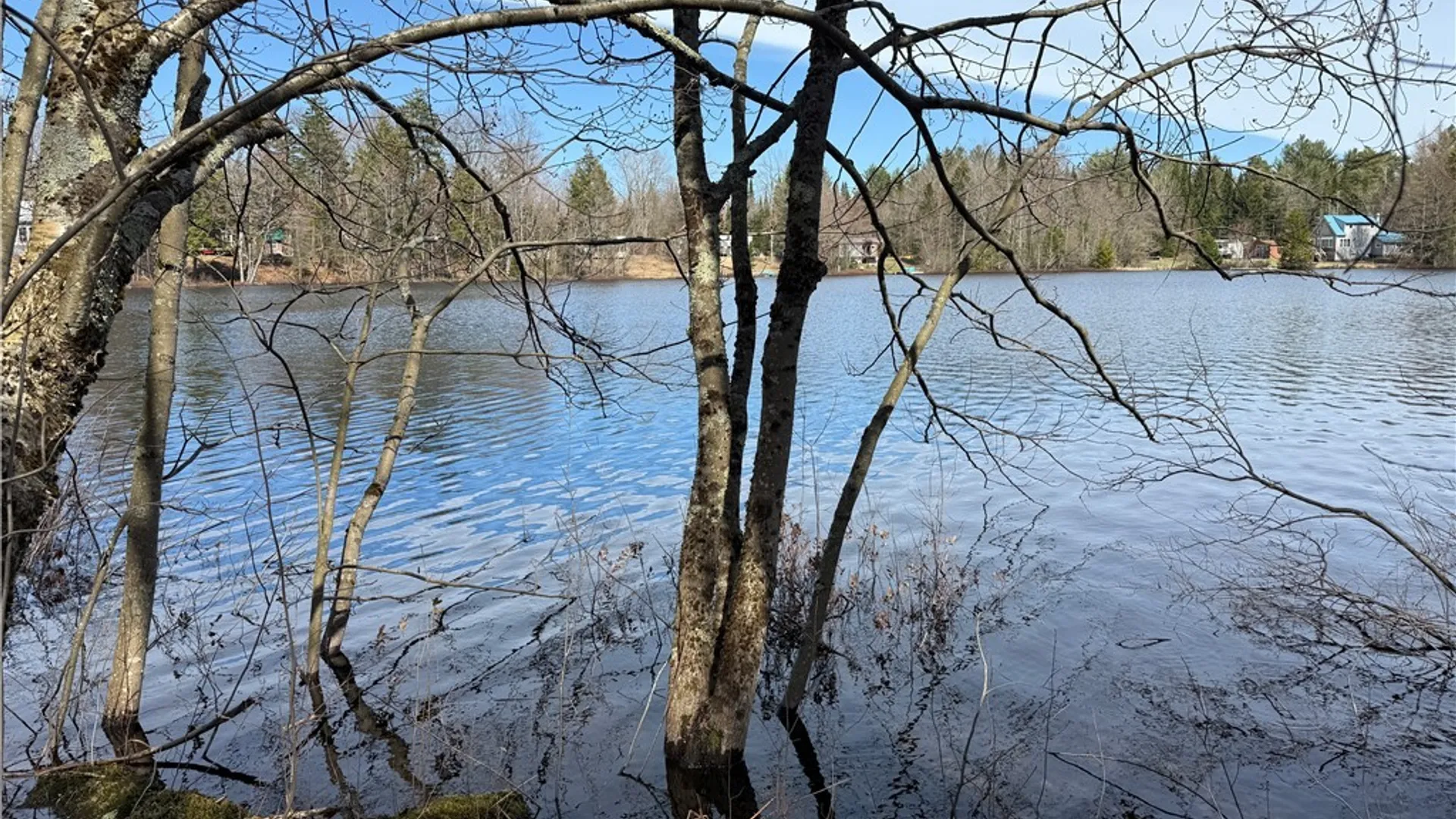 Property at Lot 21B Deep Lake Rd., Ohio, NY 13338 5