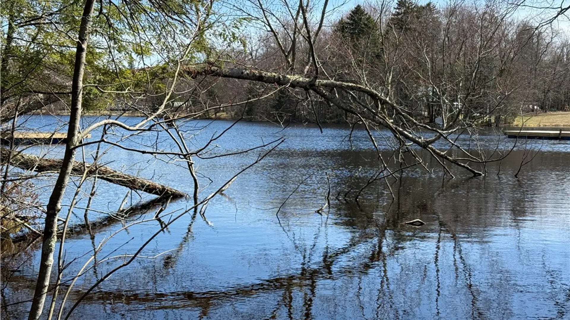 Property at Lot 21B Deep Lake Rd., Ohio, NY 13338 8