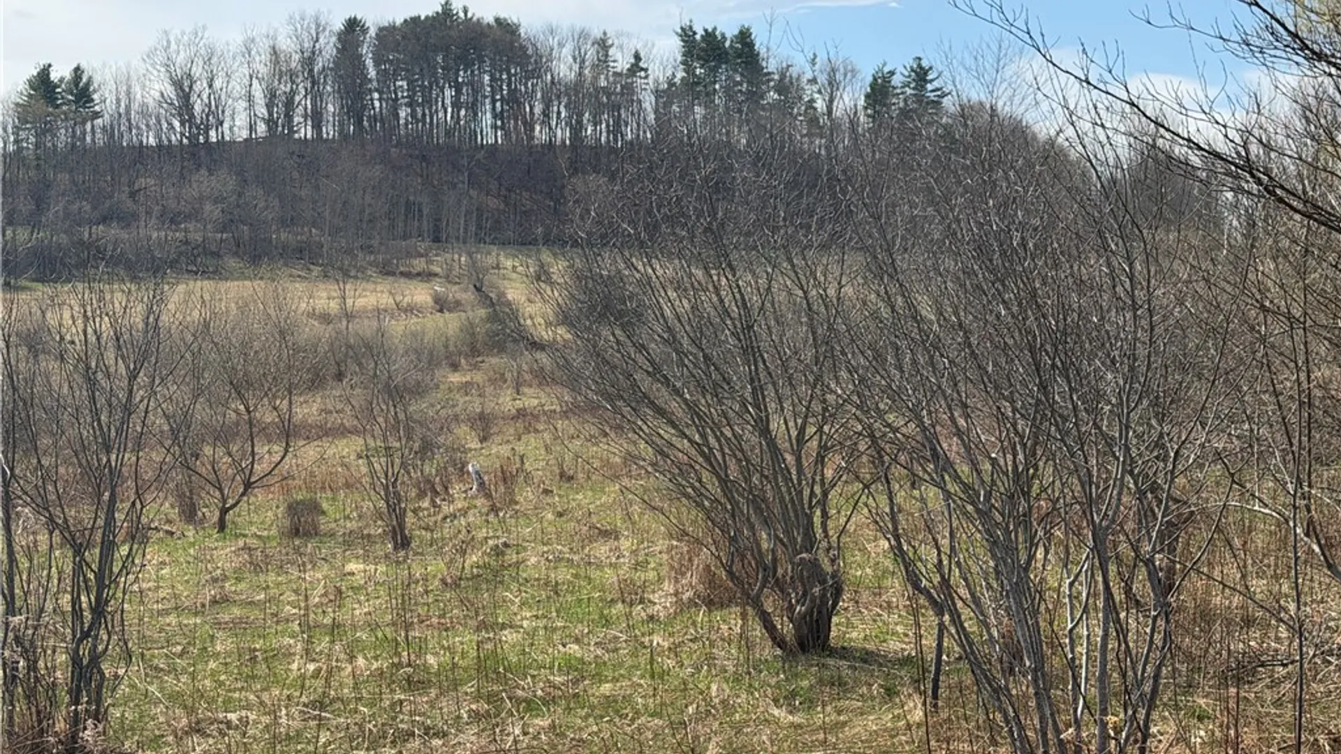 Property at Lot 22 & 23 County Road 164, Delaware, NY 12723 10