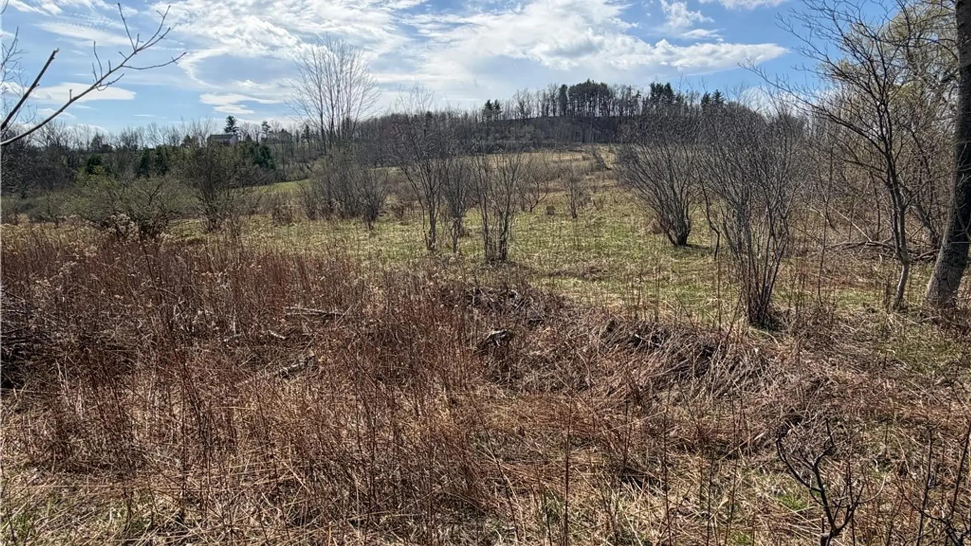 Property at Lot 22 & 23 County Road 164, Delaware, NY 12723 8
