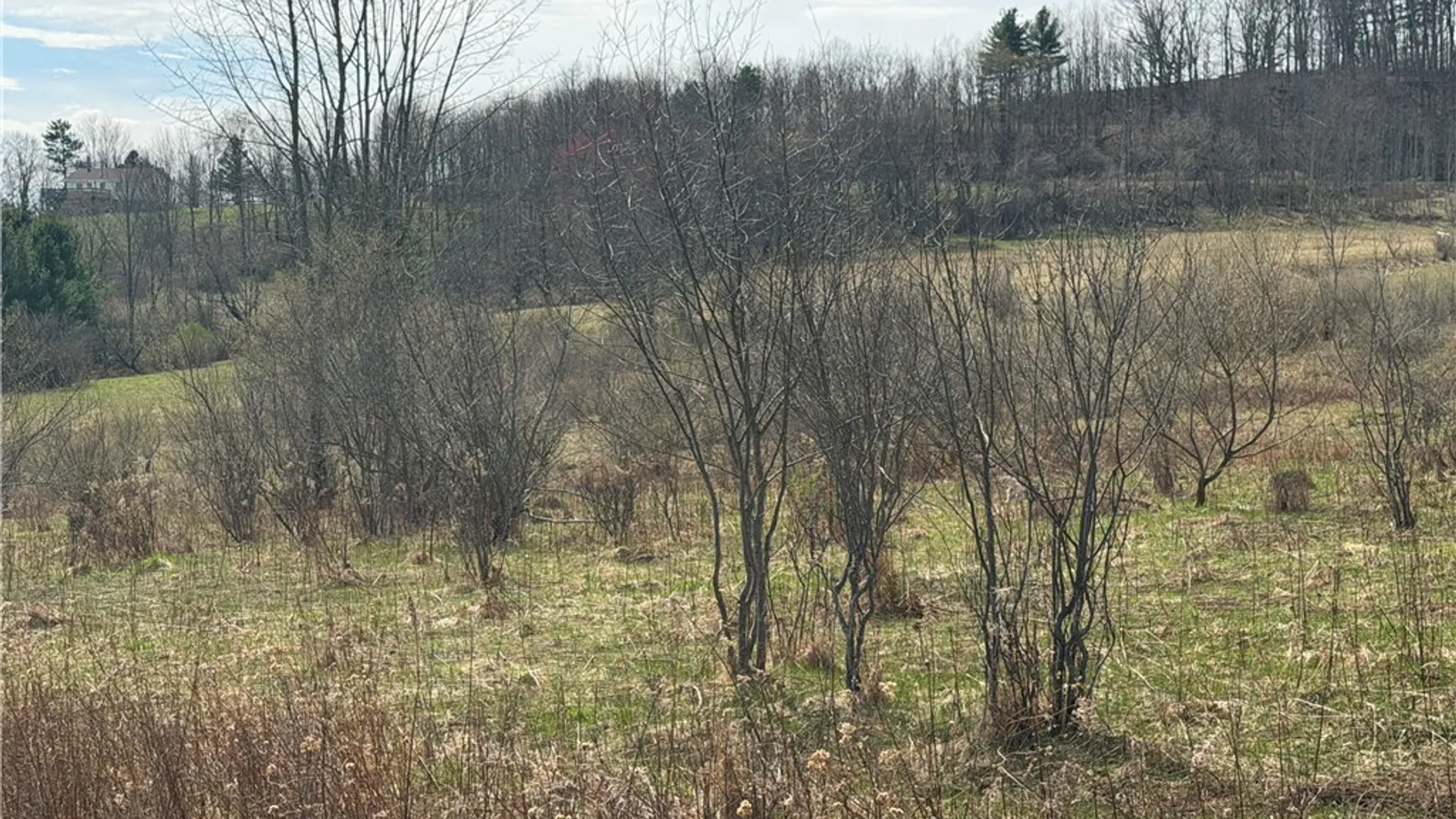 Property at Lot 22 & 23 County Road 164, Delaware, NY 12723 9