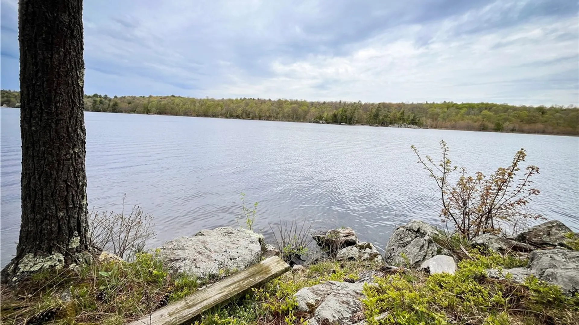 Property at 46446 Butterfield, Theresa, NY 13679 10