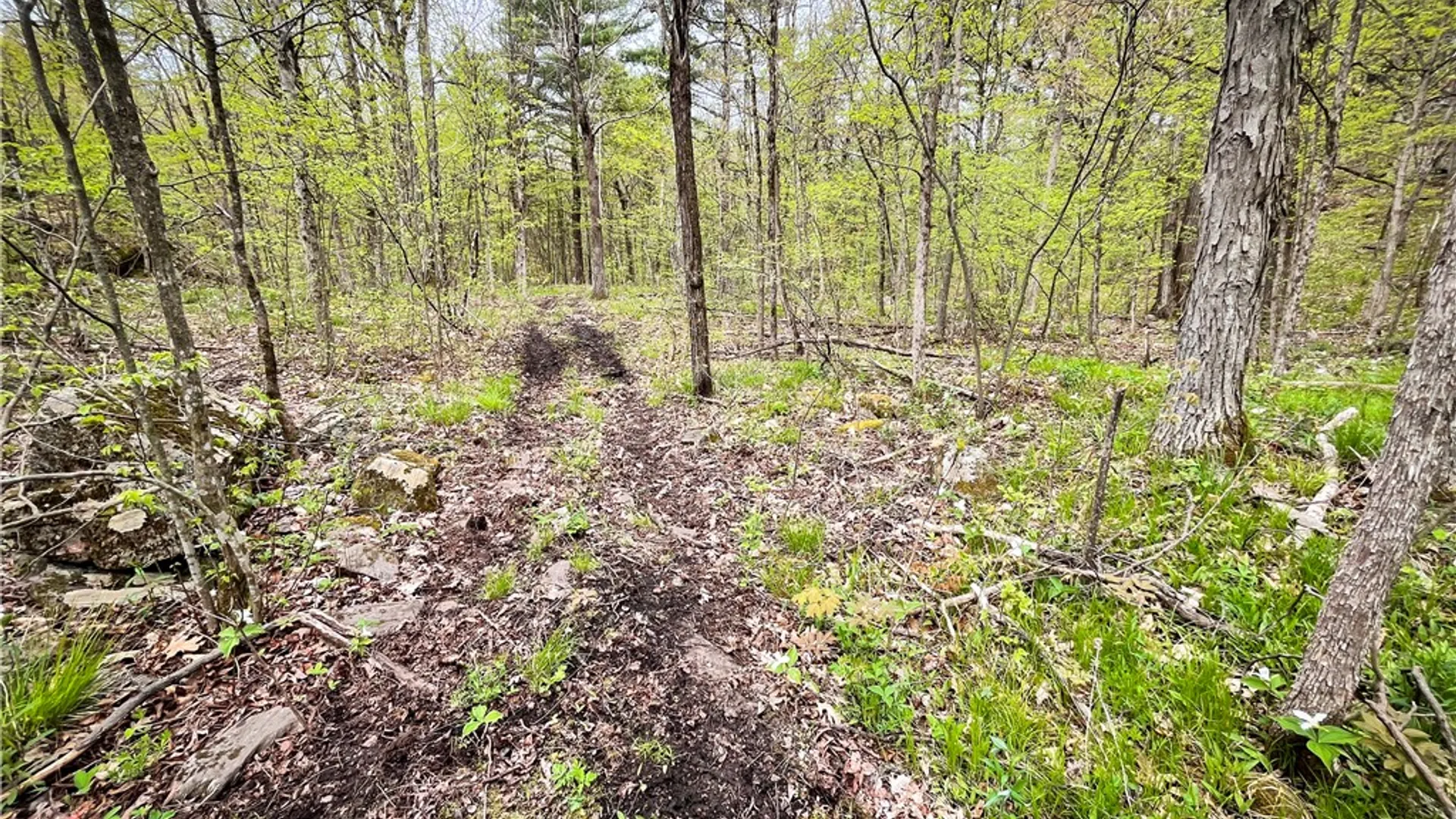 Property at 46446 Butterfield, Theresa, NY 13679 26