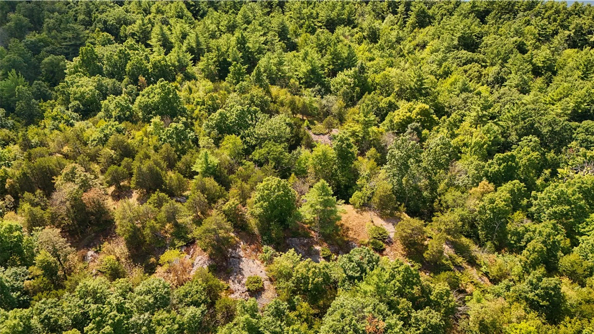 Property at 46446 Butterfield, Theresa, NY 13679 32