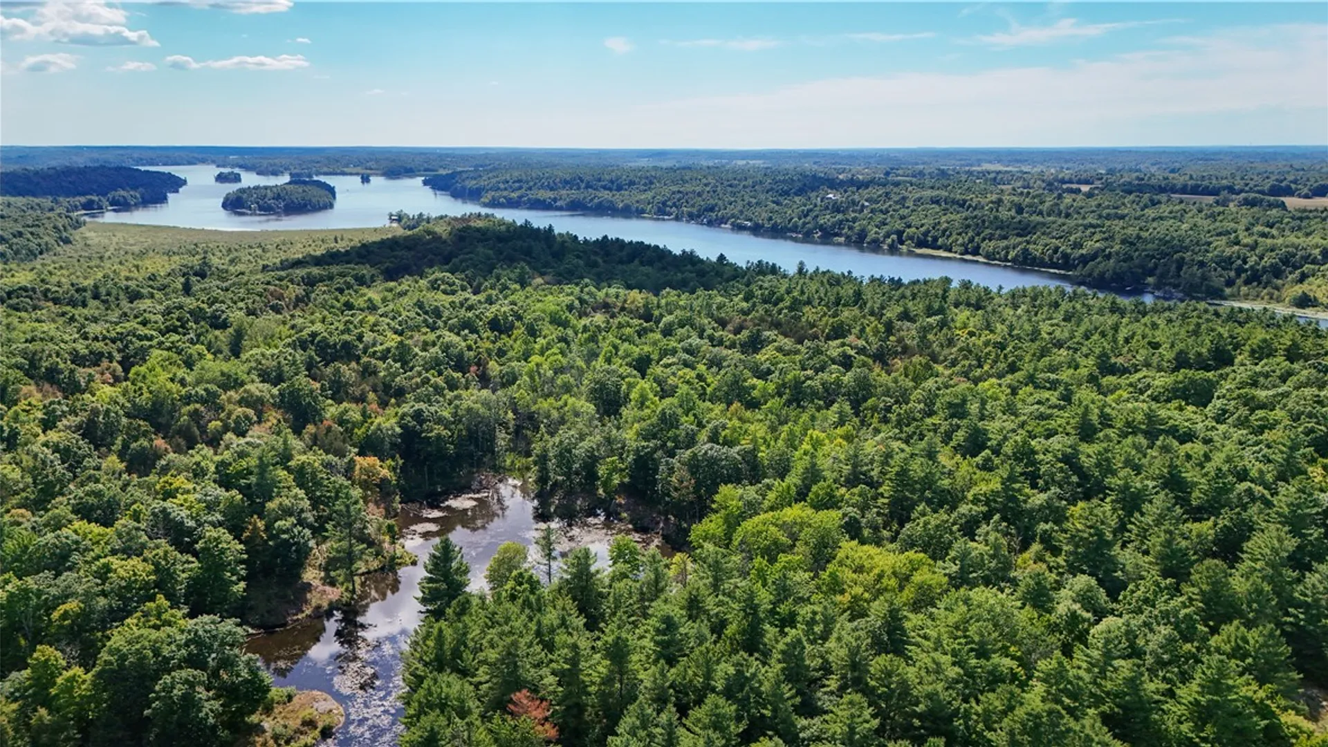 Property at 46446 Butterfield, Theresa, NY 13679 33