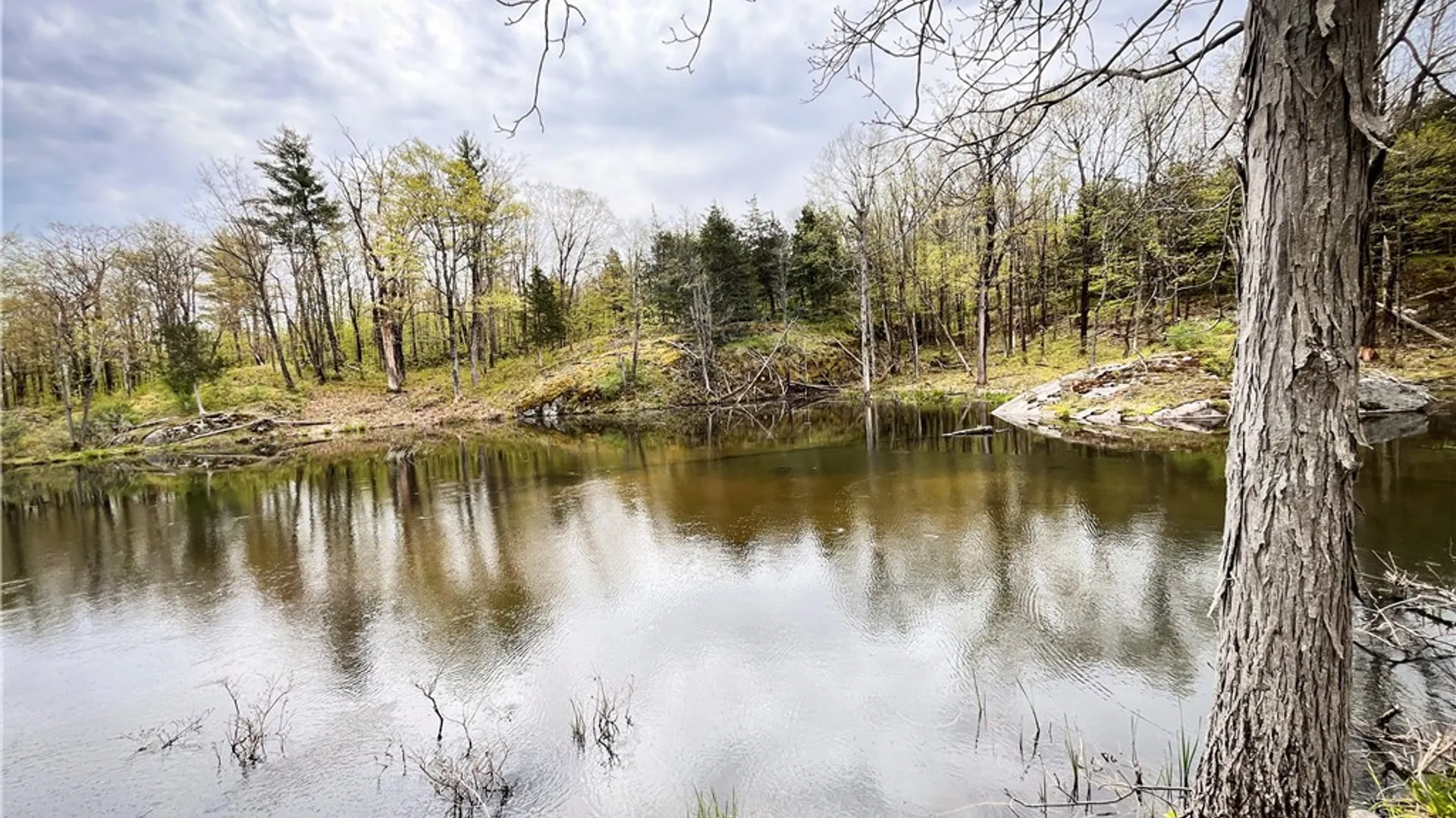 Property at 46446 Butterfield, Theresa, NY 13679 35