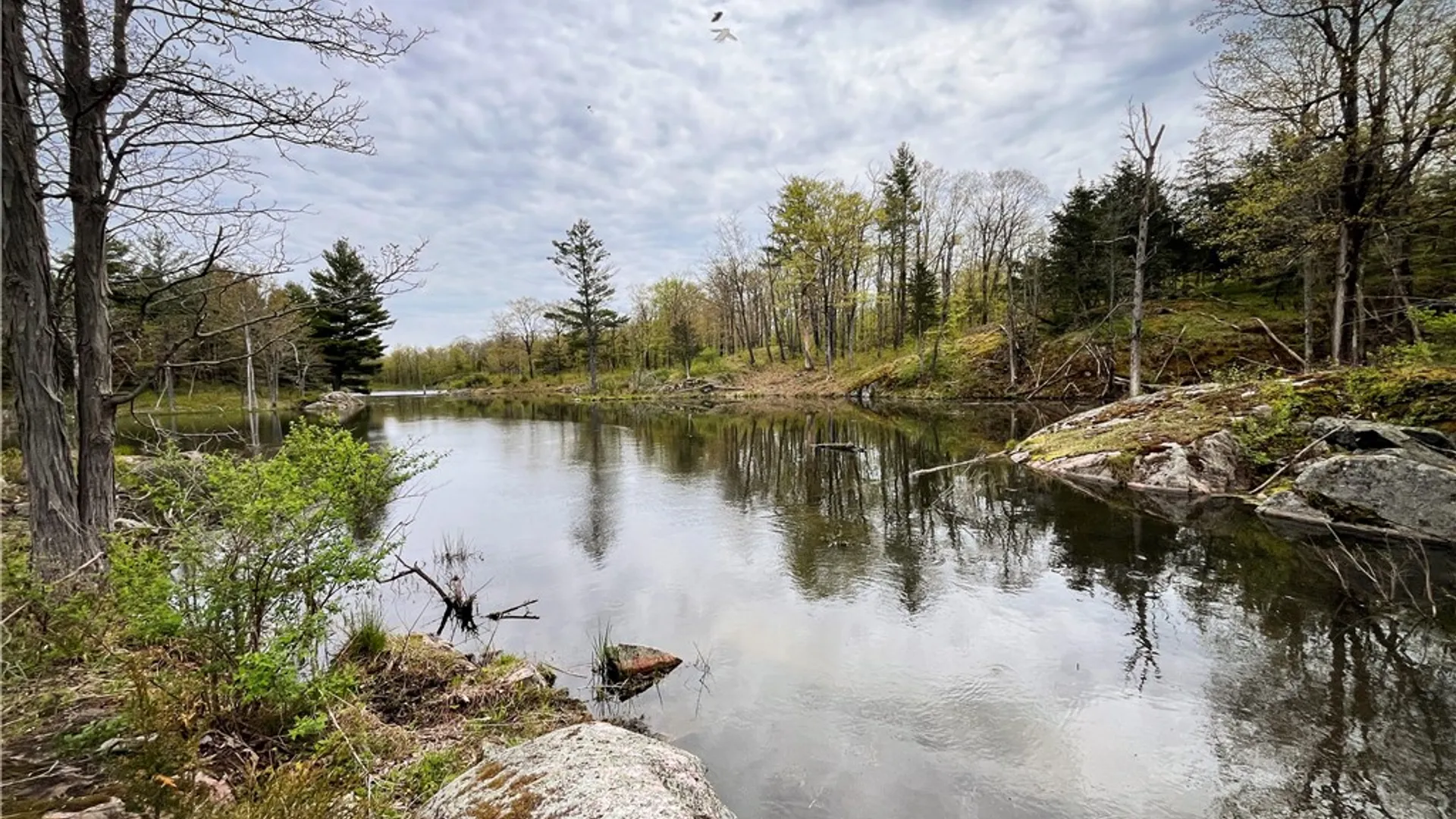 Property at 46446 Butterfield, Theresa, NY 13679 36