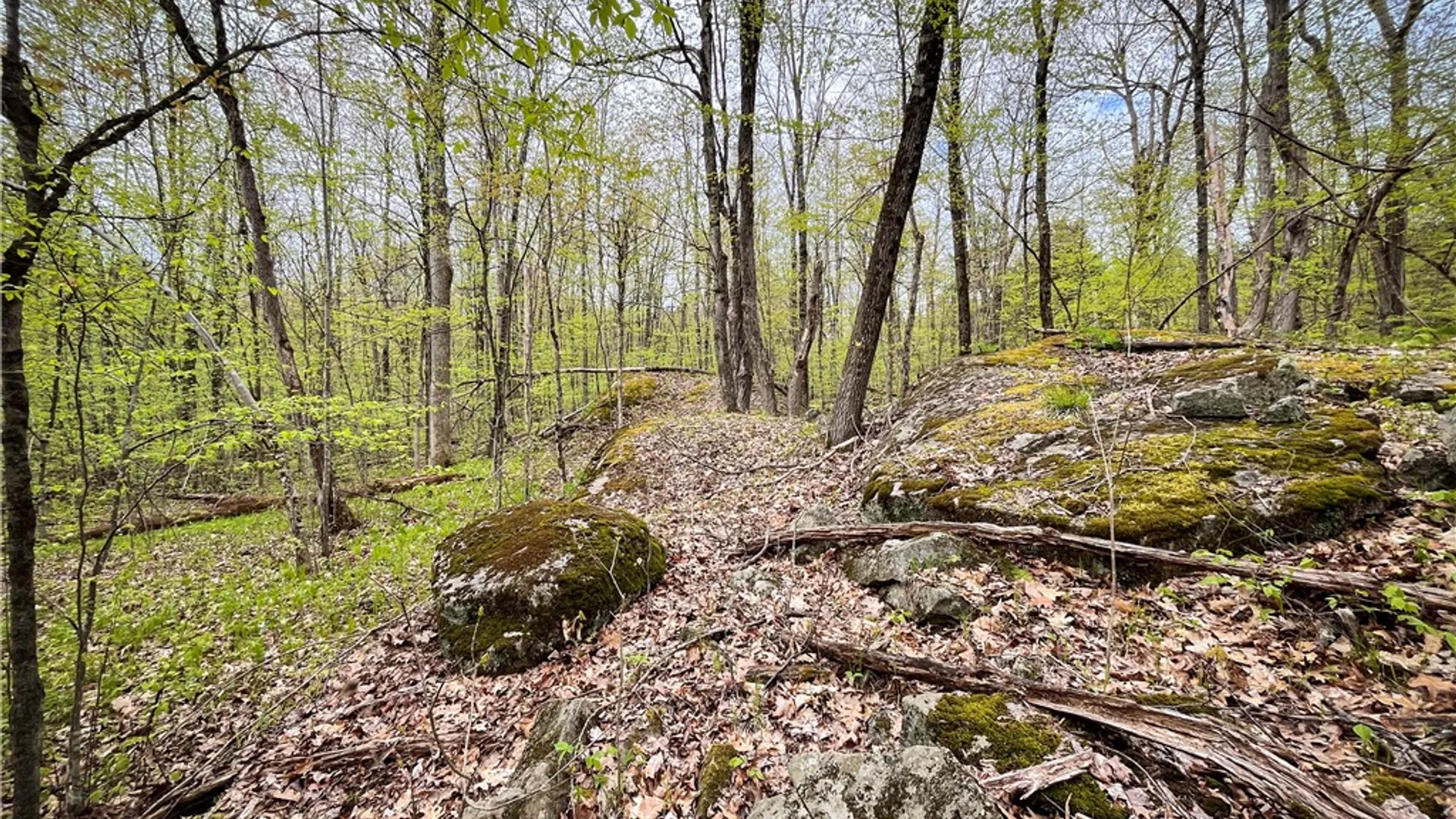 Property at 46446 Butterfield, Theresa, NY 13679 37