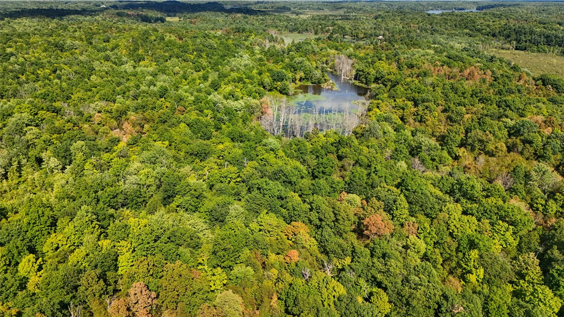 Property at 46446 Butterfield, Theresa, NY 13679 39