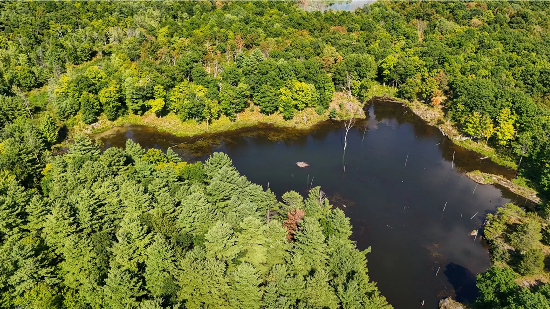 Property at 46446 Butterfield, Theresa, NY 13679 40