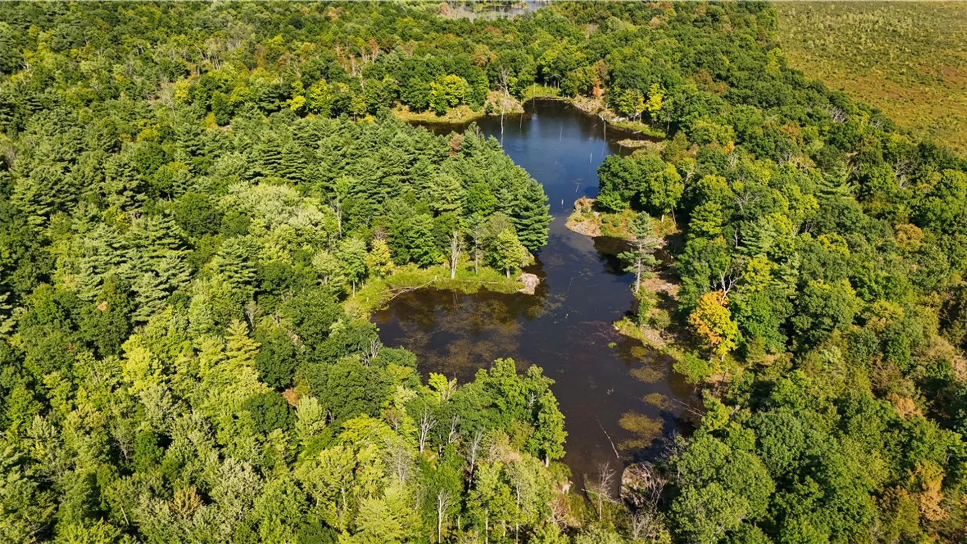 Property at 46446 Butterfield, Theresa, NY 13679 41