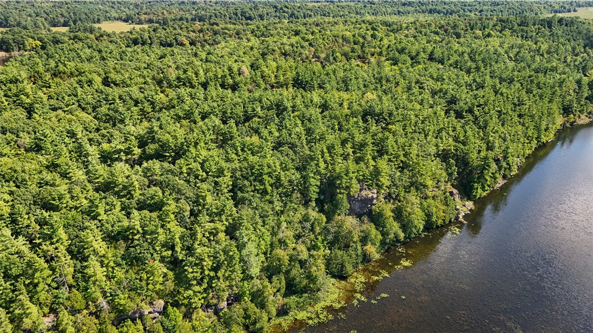 Property at 46446 Butterfield, Theresa, NY 13679 42