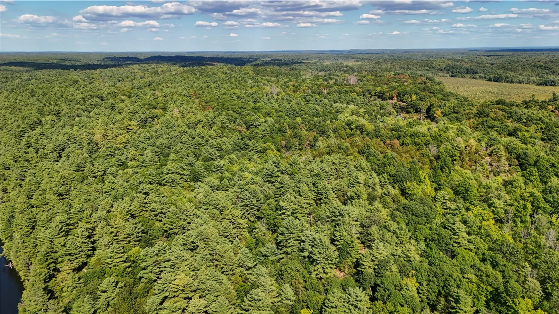 Property at 46446 Butterfield, Theresa, NY 13679 44