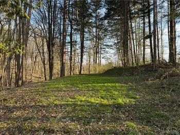 00 Pit Road, Java, NY 14082