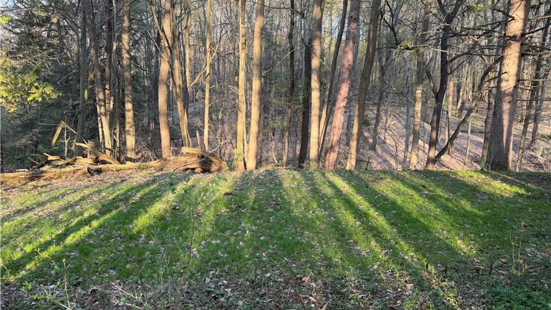 Property at 00 Pit Road, Java, NY 14082 2