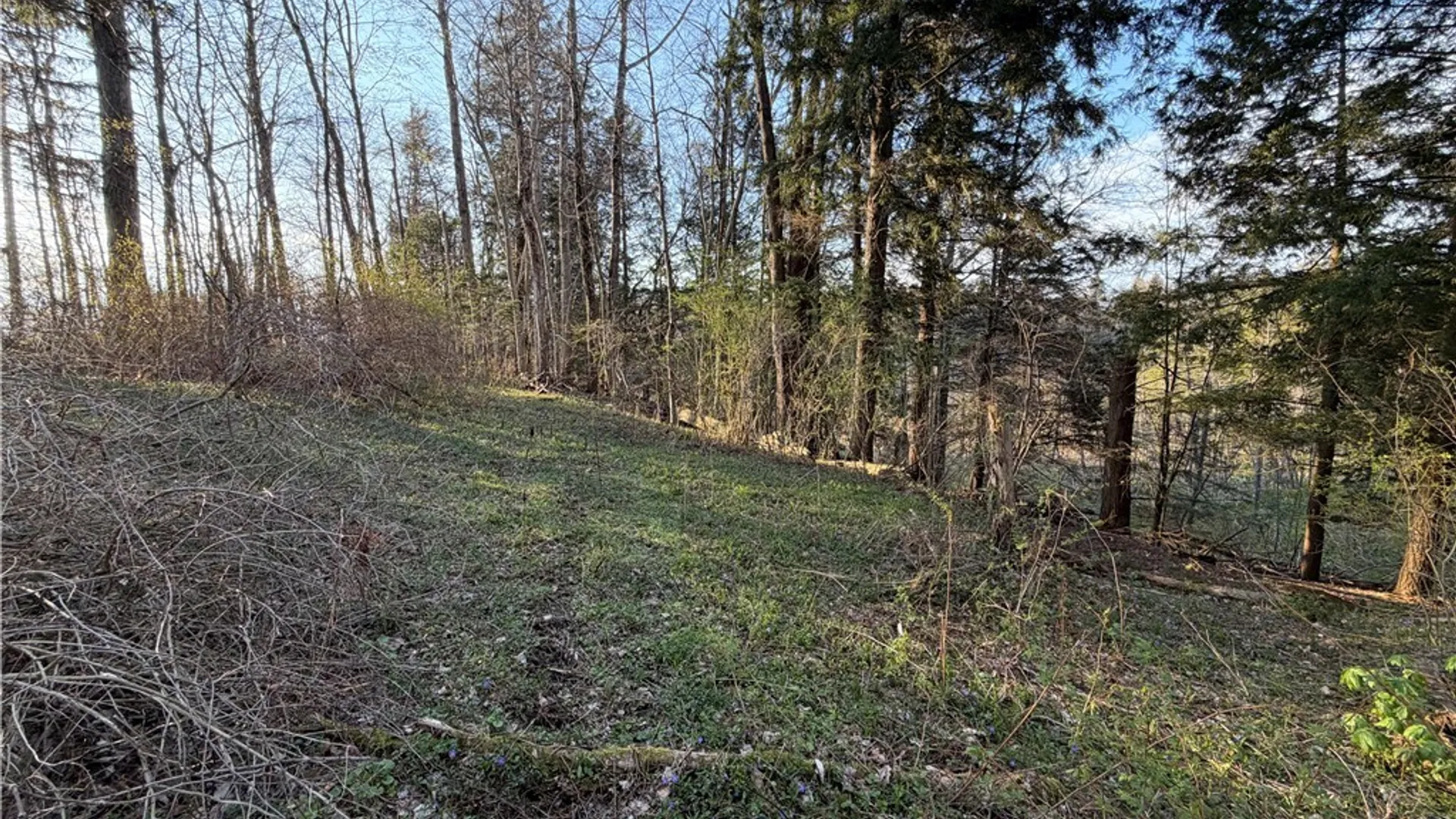 Property at 00 Pit Road, Java, NY 14082 3