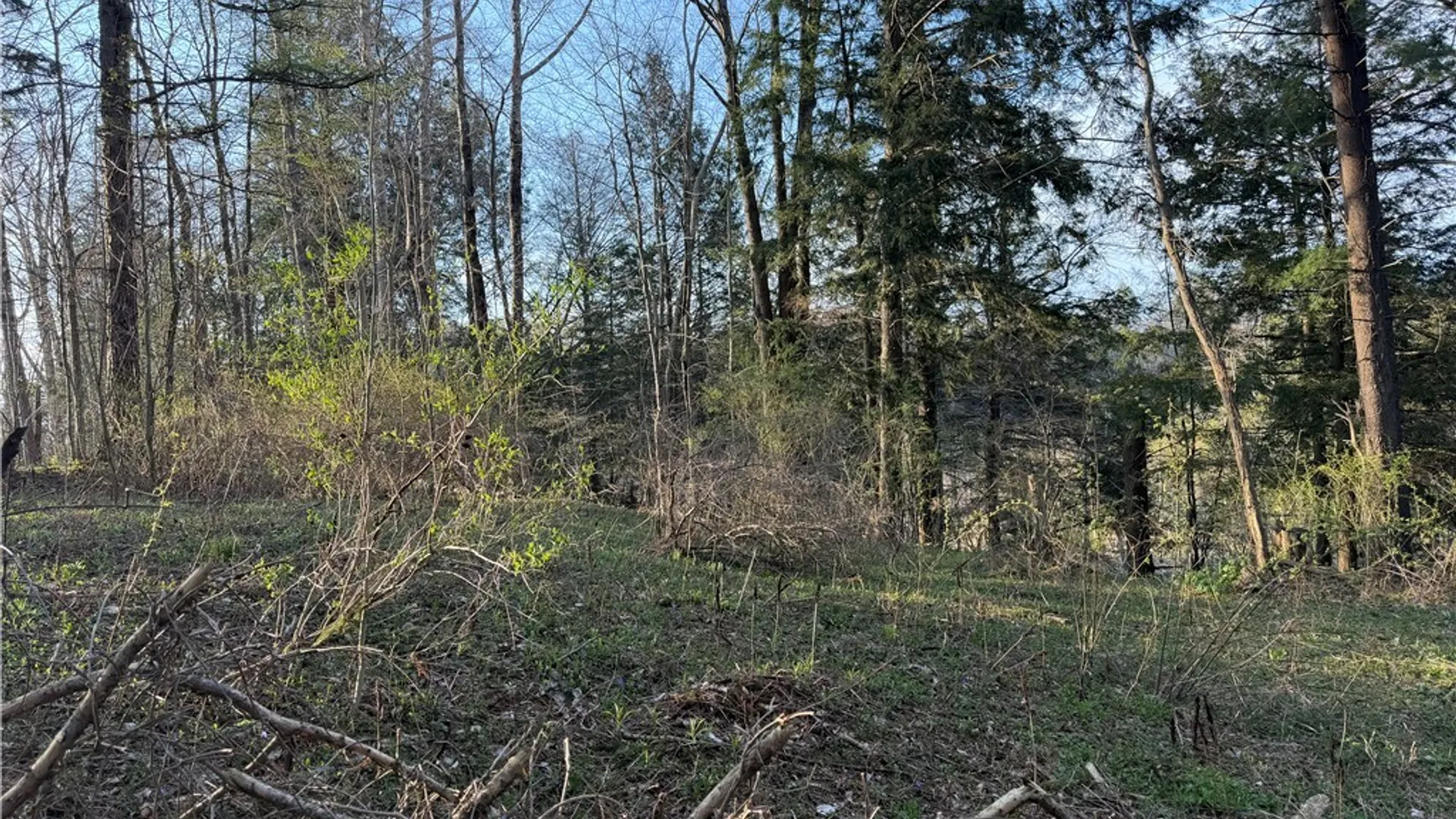 Property at 00 Pit Road, Java, NY 14082 4