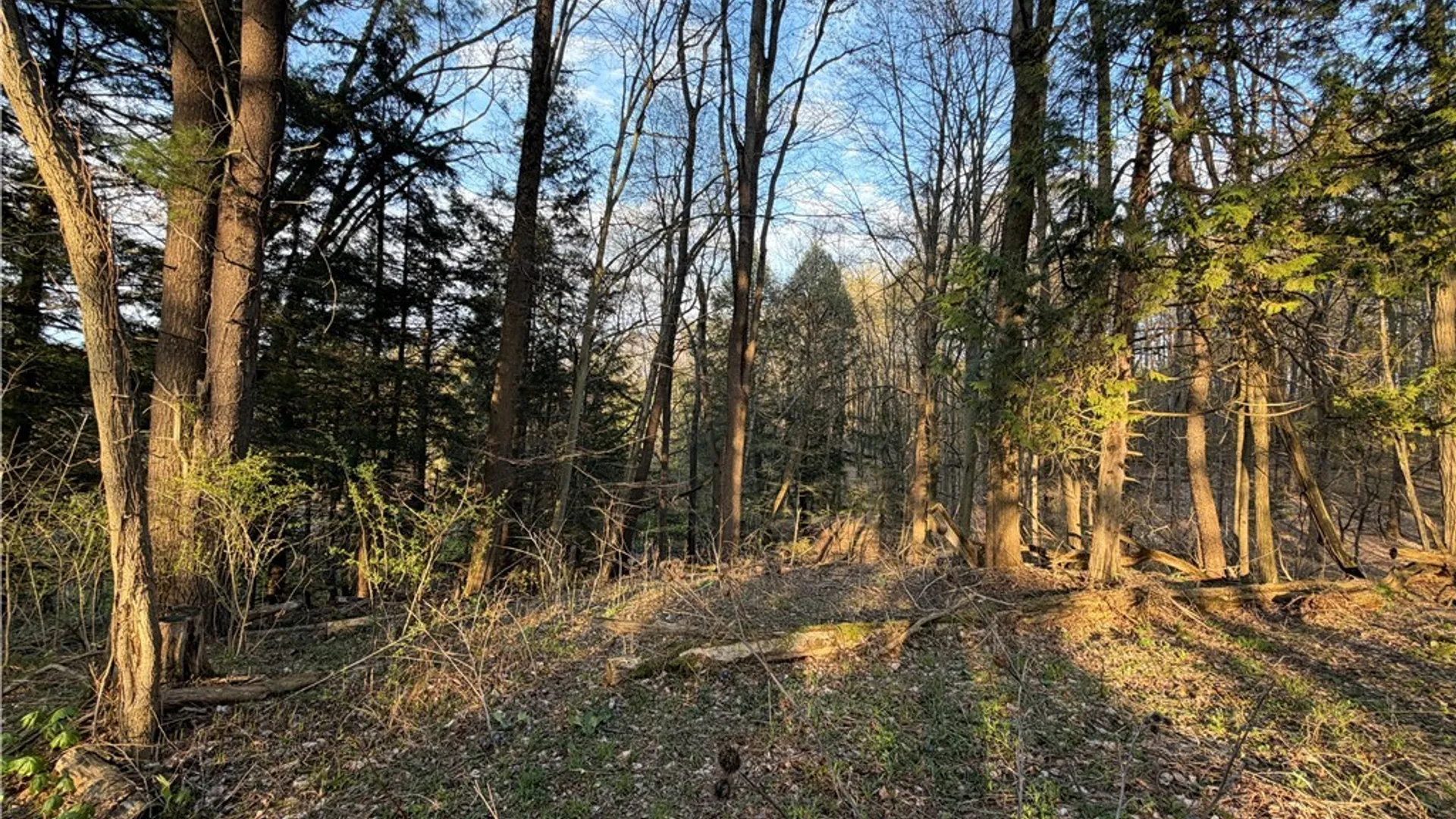 Property at 00 Pit Road, Java, NY 14082 5