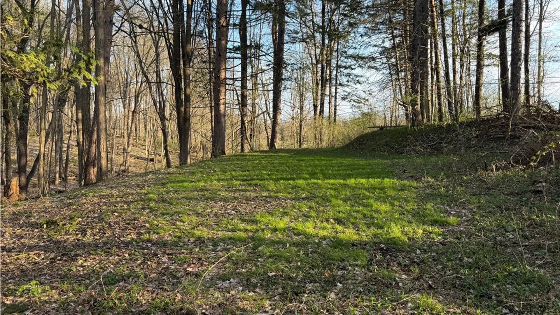 Property at 00 Pit Road, Java, NY 14082 6