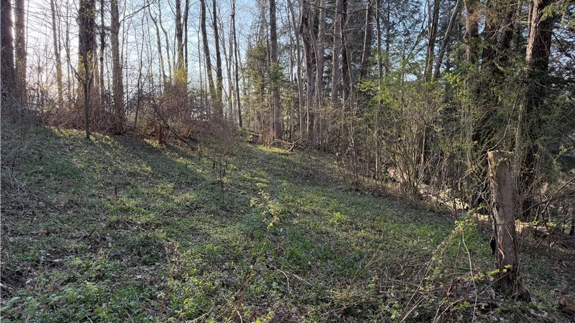 Property at 00 Pit Road, Java, NY 14082 7