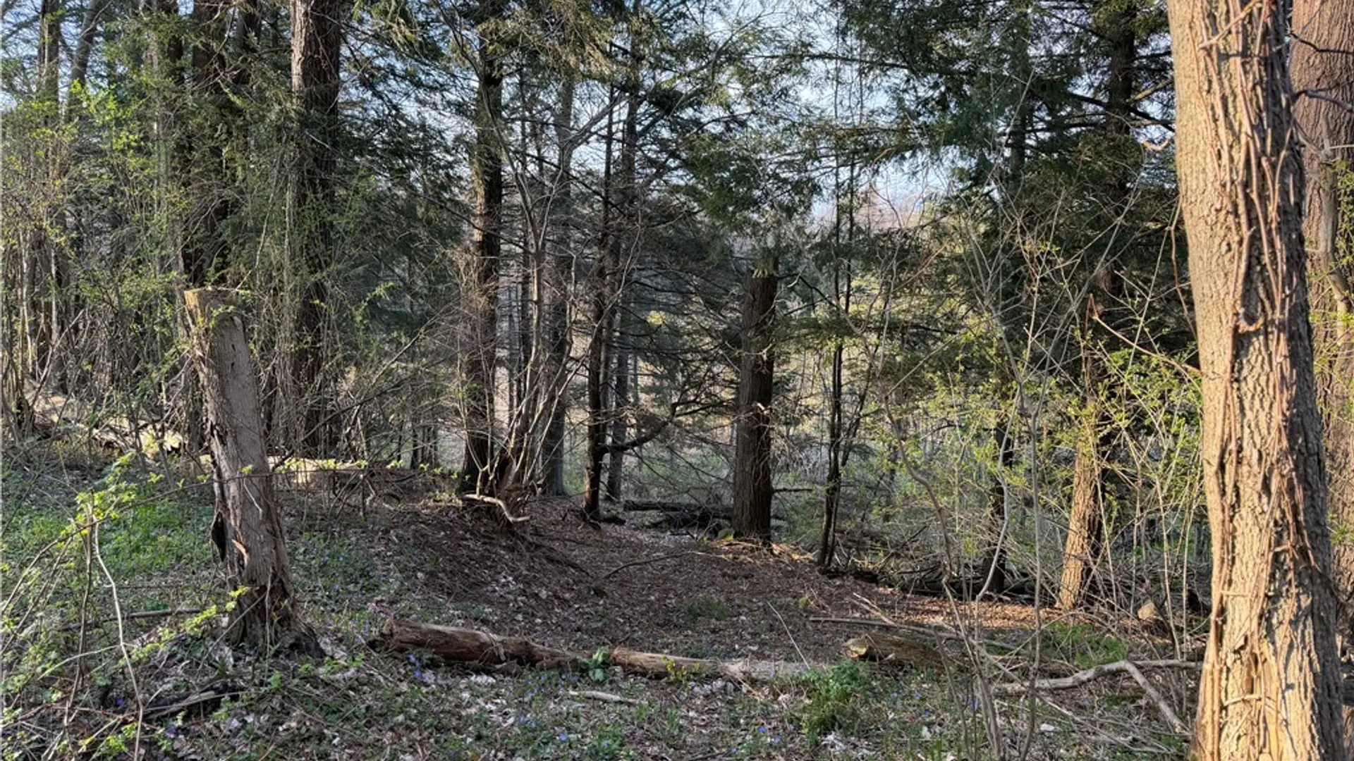 Property at 00 Pit Road, Java, NY 14082 8