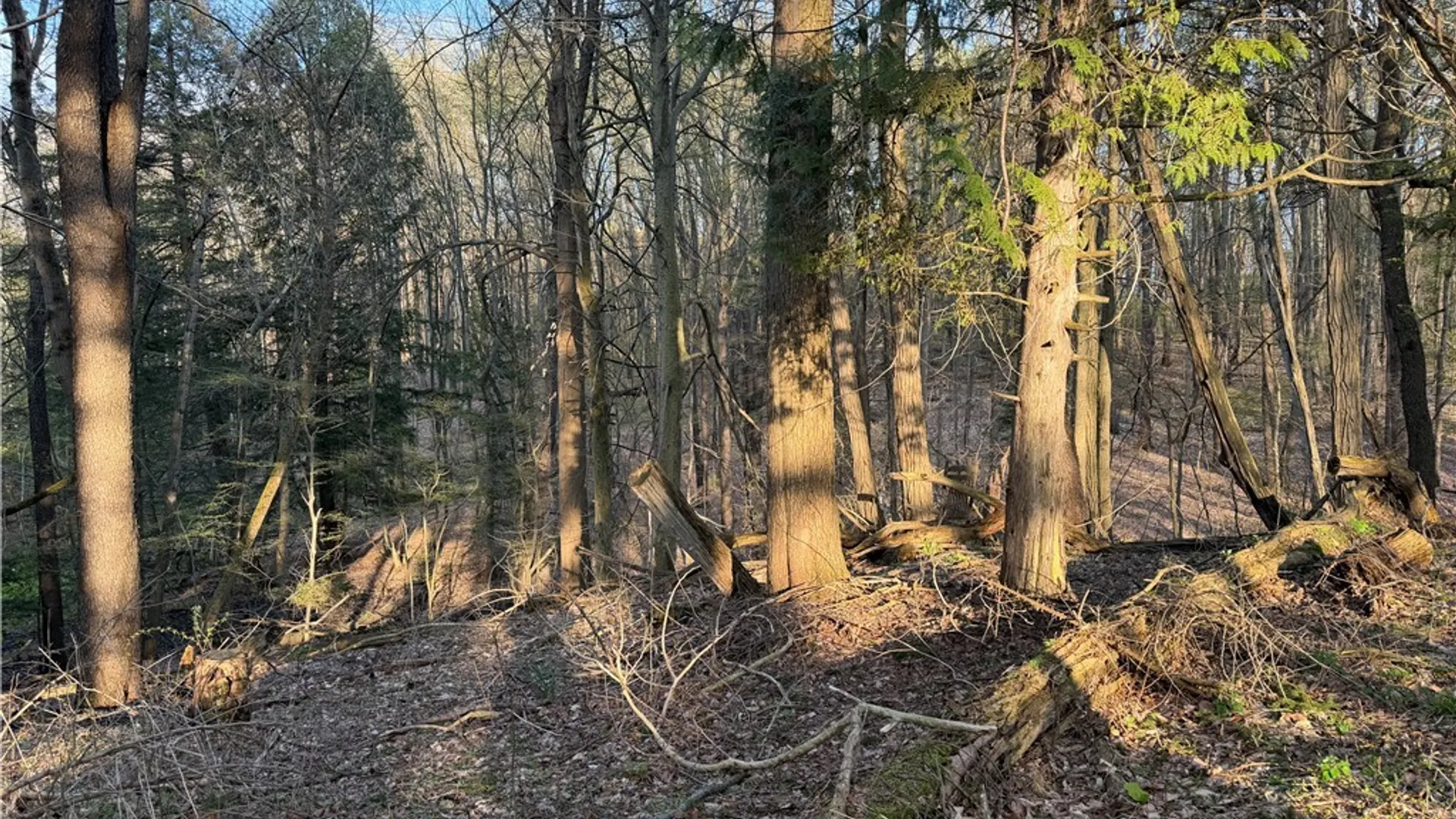 Property at 00 Pit Road, Java, NY 14082 9