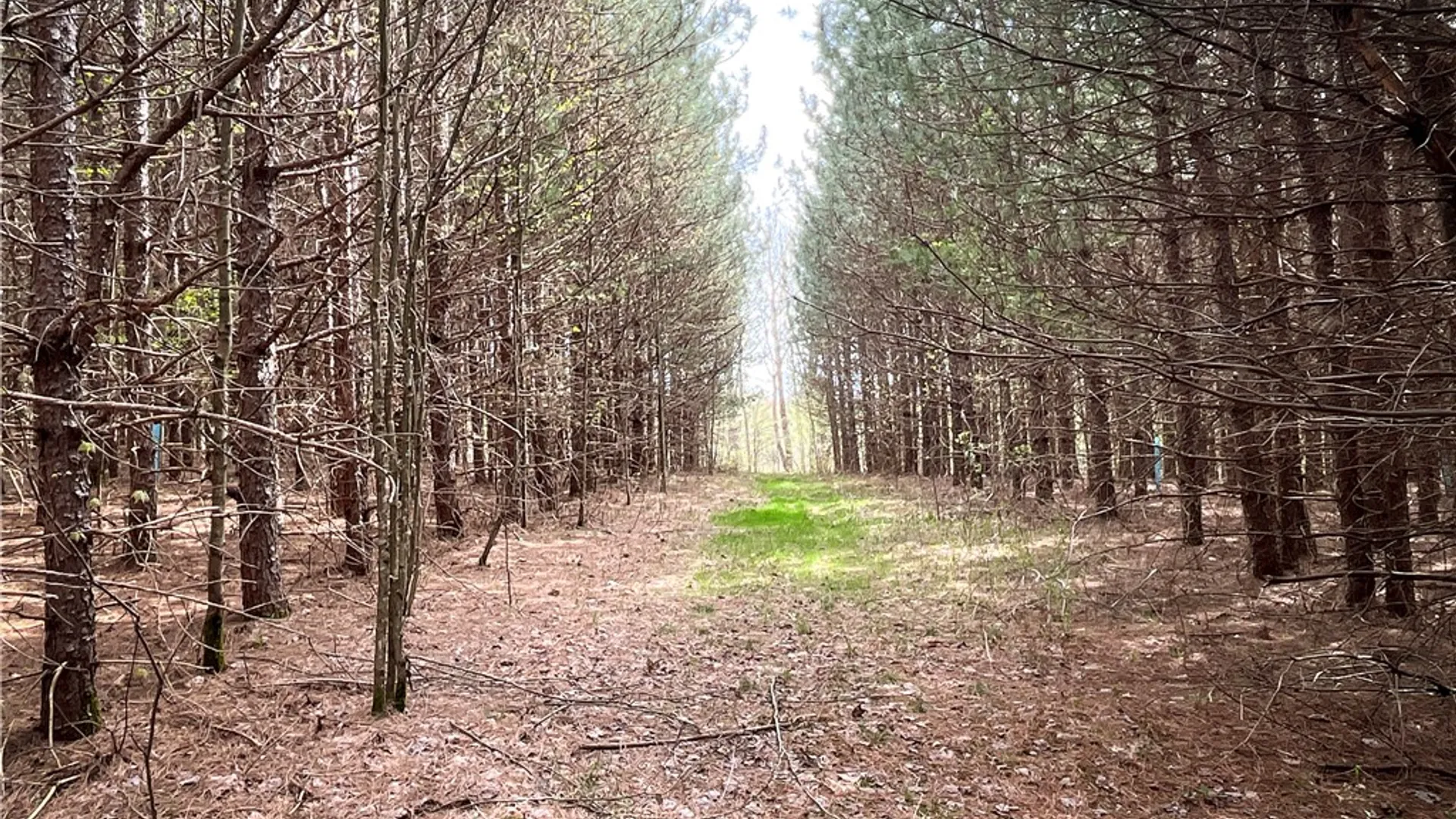 Property at West Creek Road, Richford, NY 13835 10